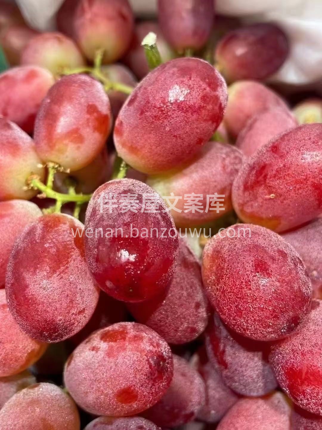 无籽红提🍇硬货到位💯 哪一颗都是嘎嘣的脆 配图1