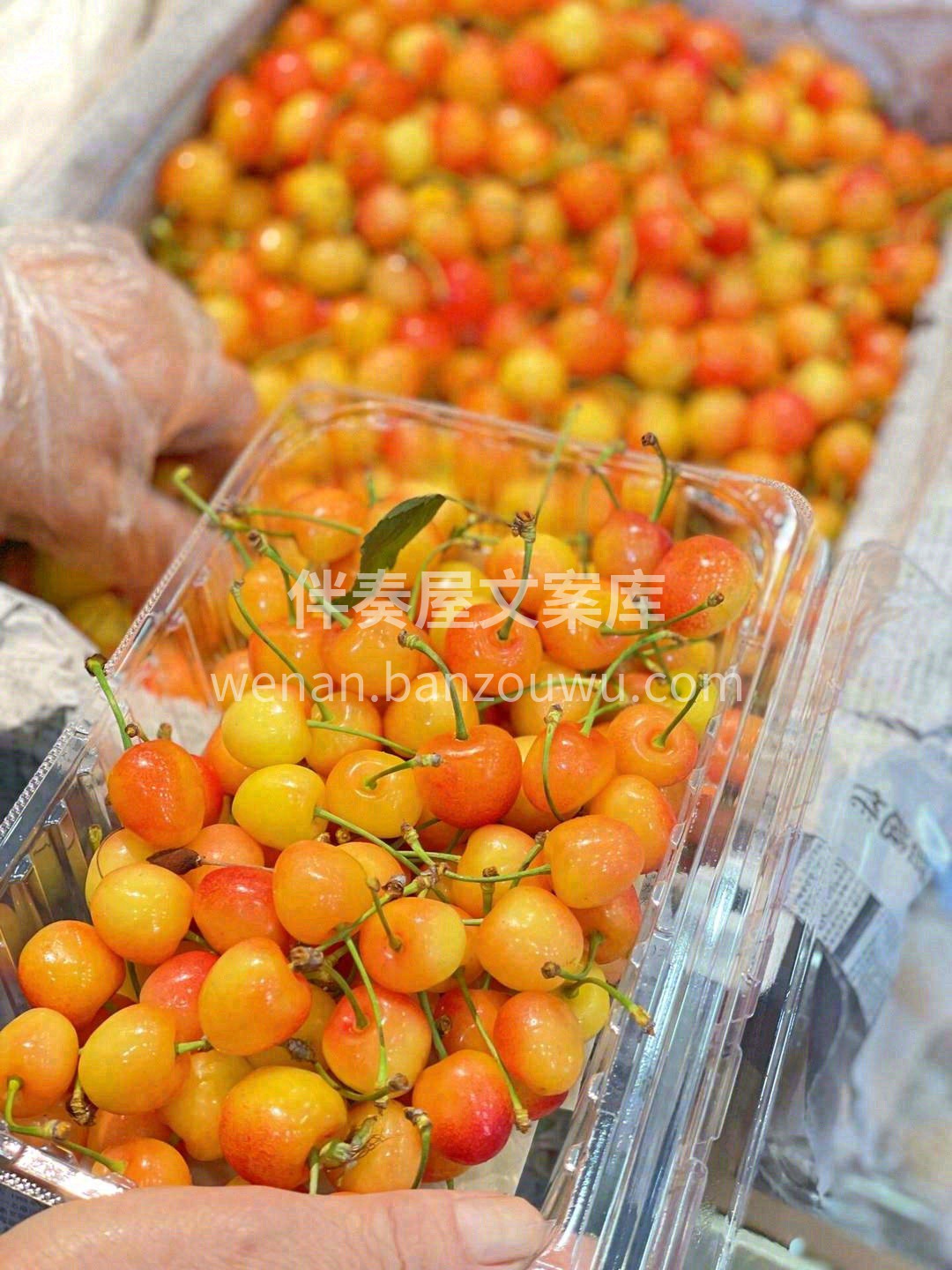 市场的货三六九等，我们只选最顶级的🏆 用 配图3