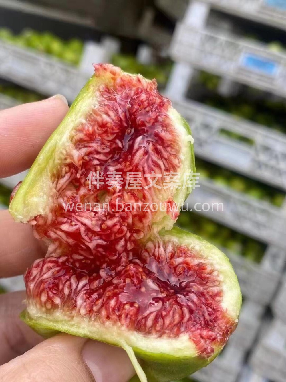 🌸无花果的口感顶峰！越丑越好吃😋一包子糖 配图1