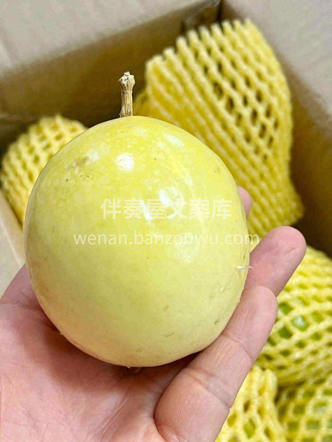 每一颗拿在手上都沉甸甸的🤲 一切开，香气 配图3