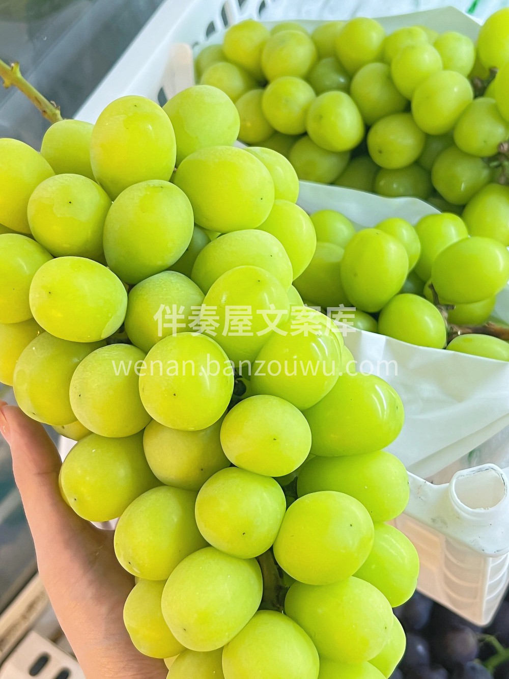 🌸端午节安康 ❤️用心的节日问候是建立我 配图1