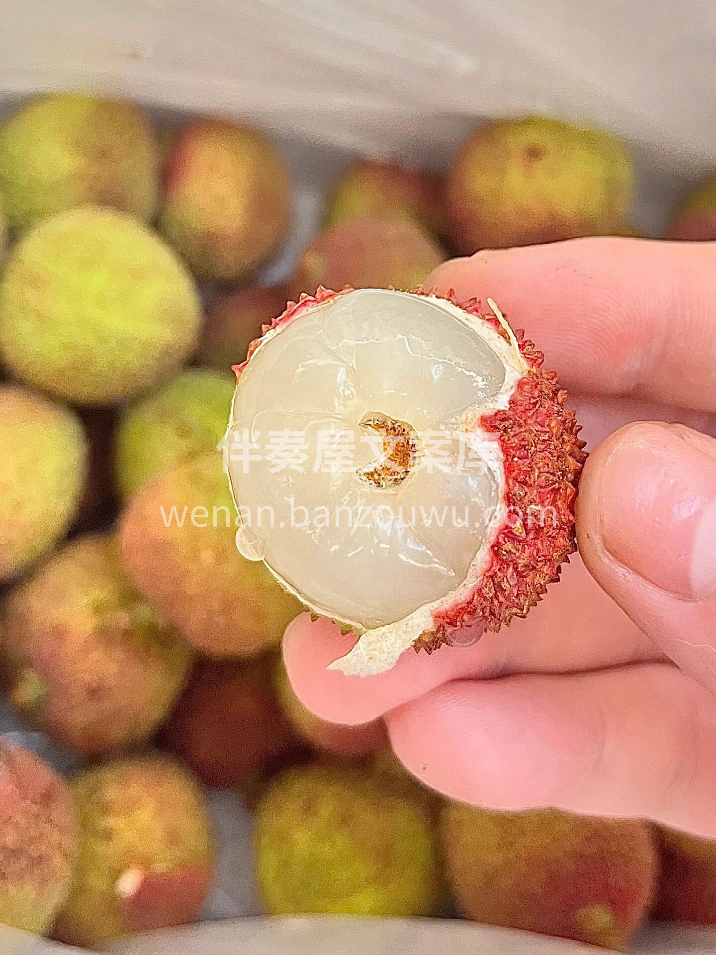 妃子笑荔枝到货😍 你匆忙的脚步是时候停下 配图1