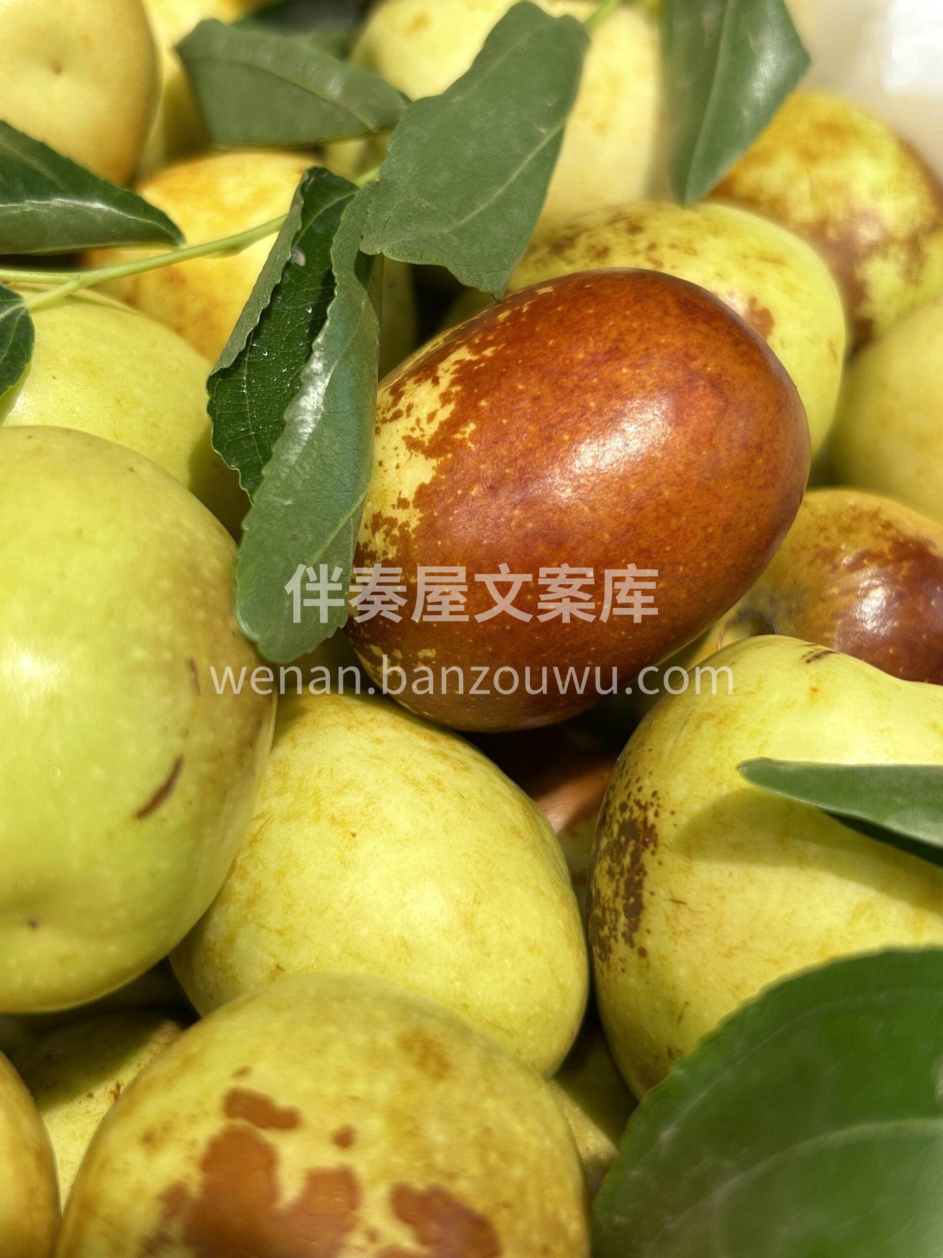 每天都是新鲜果👏🏻👏🏻 【大荔冬枣】上架 配图2