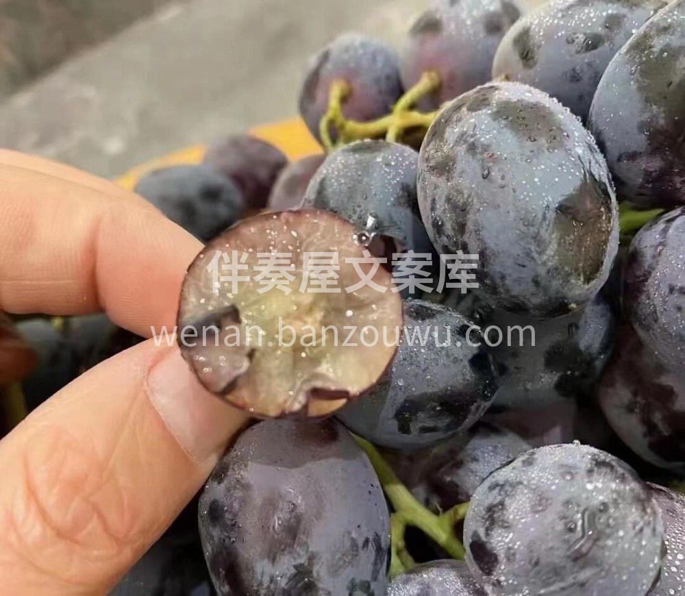 ——黑提🍇 爽甜不涩🍭光亮如漆，轻咬一口 配图1