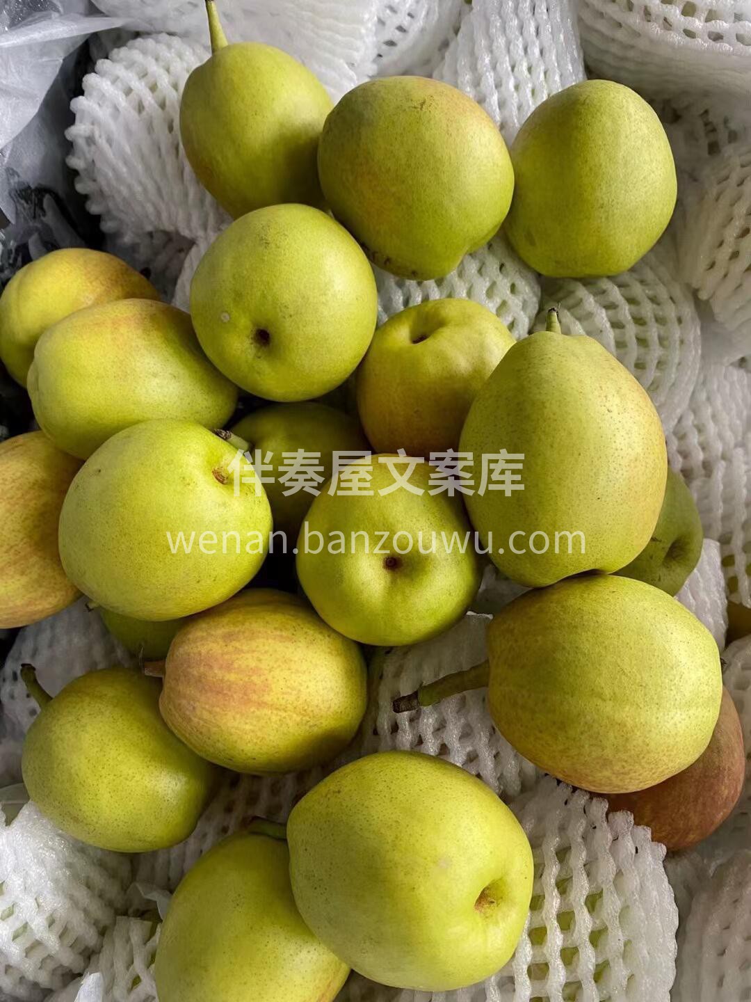 🍐库尔勒香梨上线！ 咬一口脆爽多汁，水分 配图3