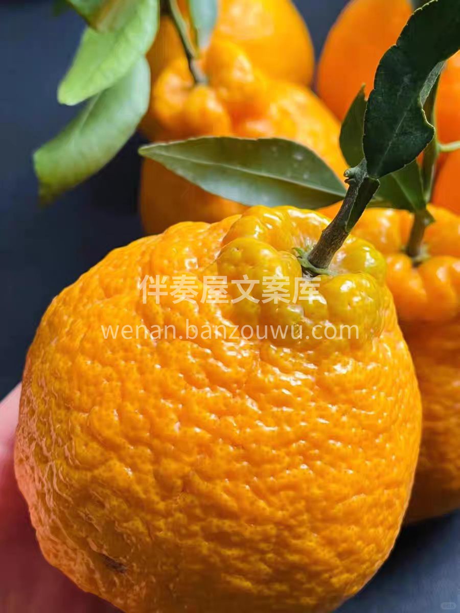 🍊【不知火丑橘爆汁上线啦‼️】 果肉饱满 配图1
