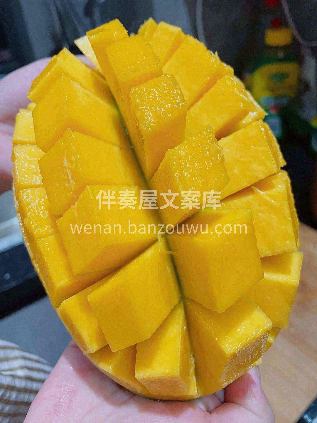 🍃那么绿的外表下内心这么黄💛 🧚‍♀️它 配图2