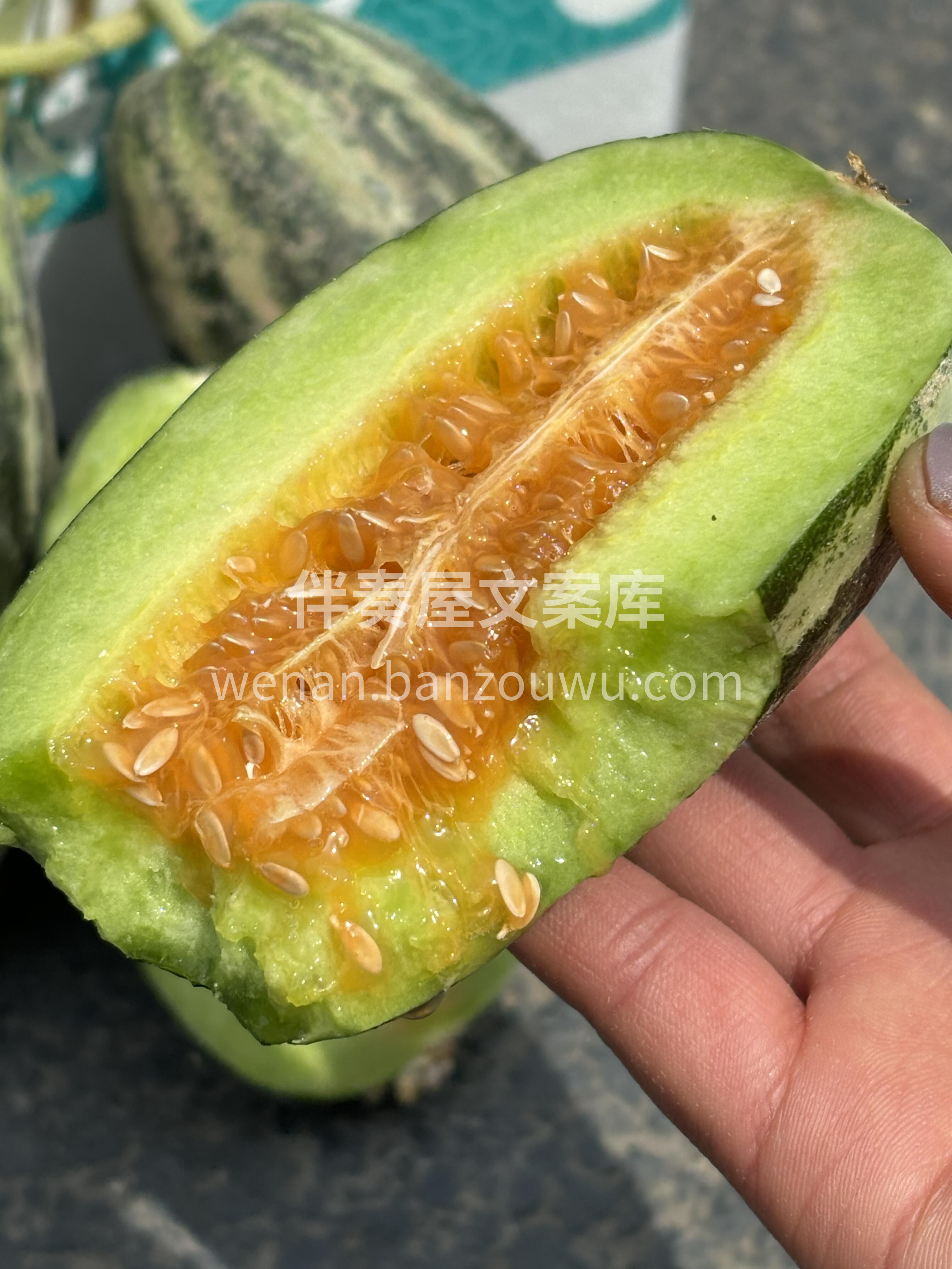 ❄️都说冬天适合想念～ 其实，更适合养生 配图3