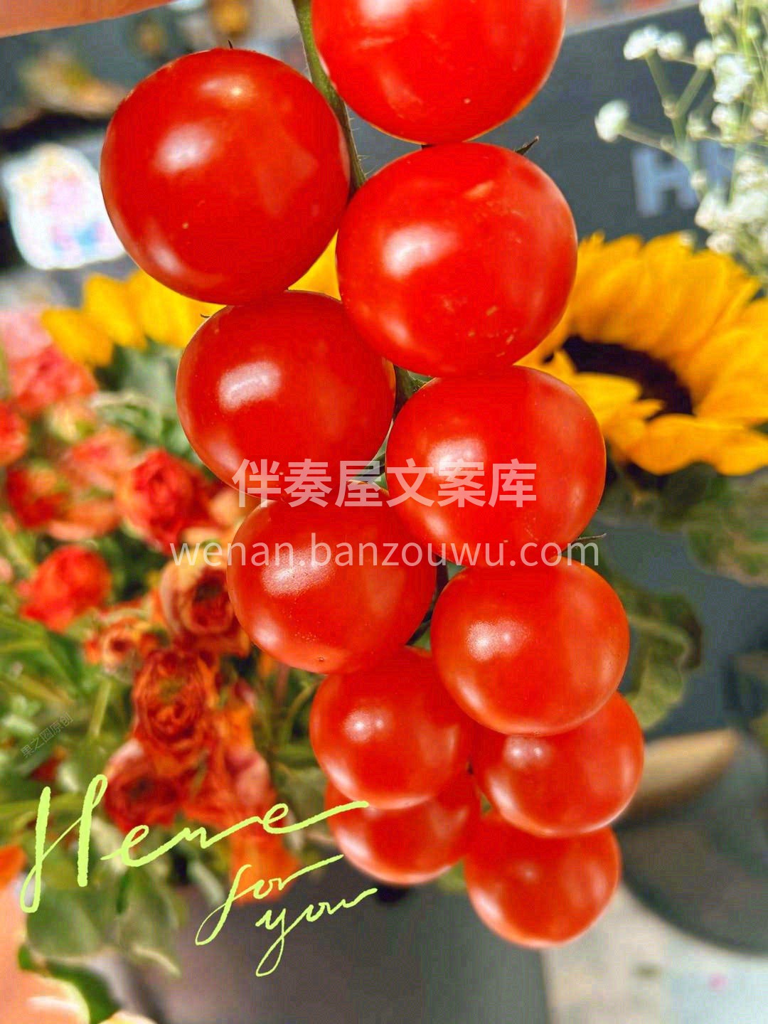 串收小番茄🍅美味诱人，口感脆爽💥 小小一 配图1