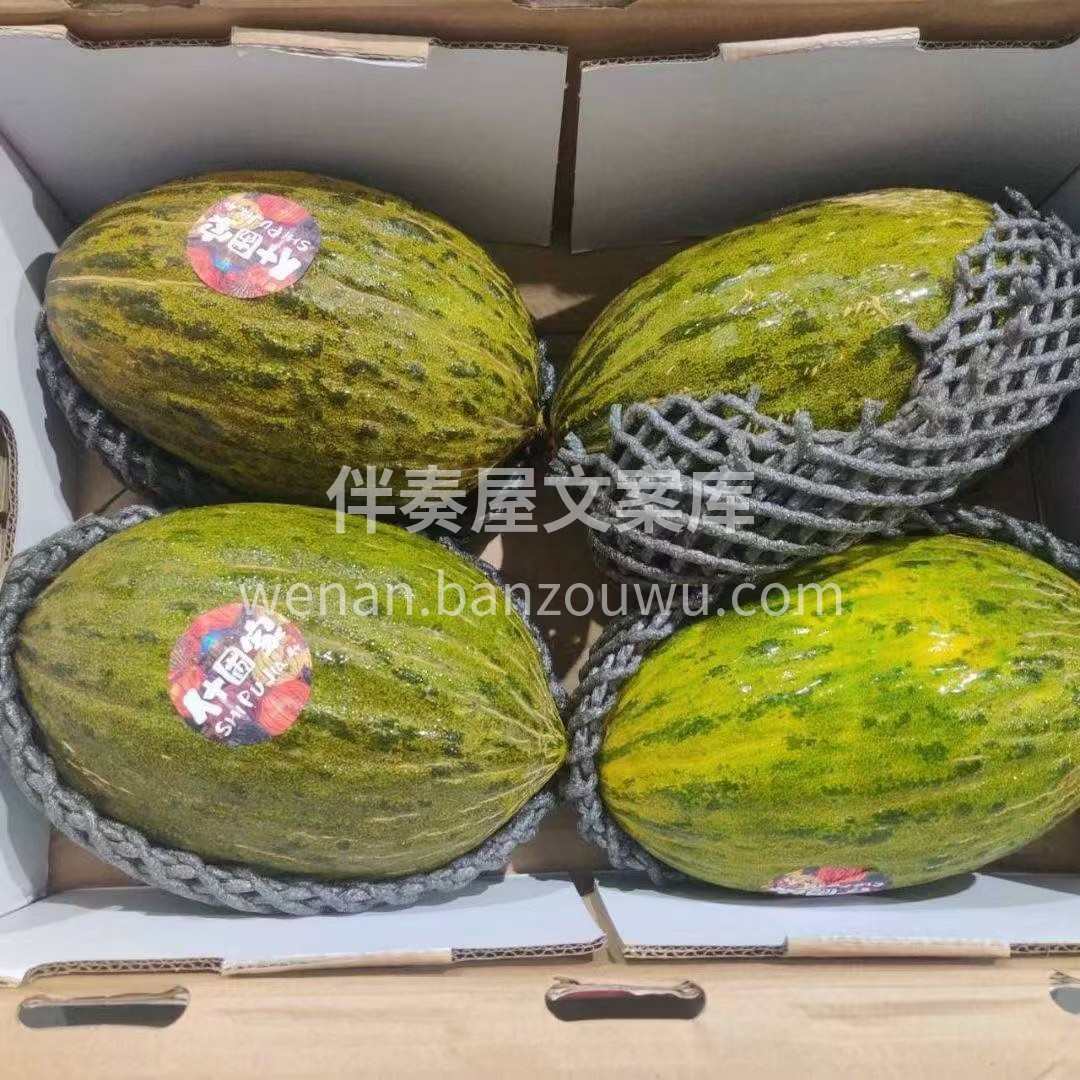 🌿在沙漠中摇曳生长，这么顽强的生命力 那 配图1