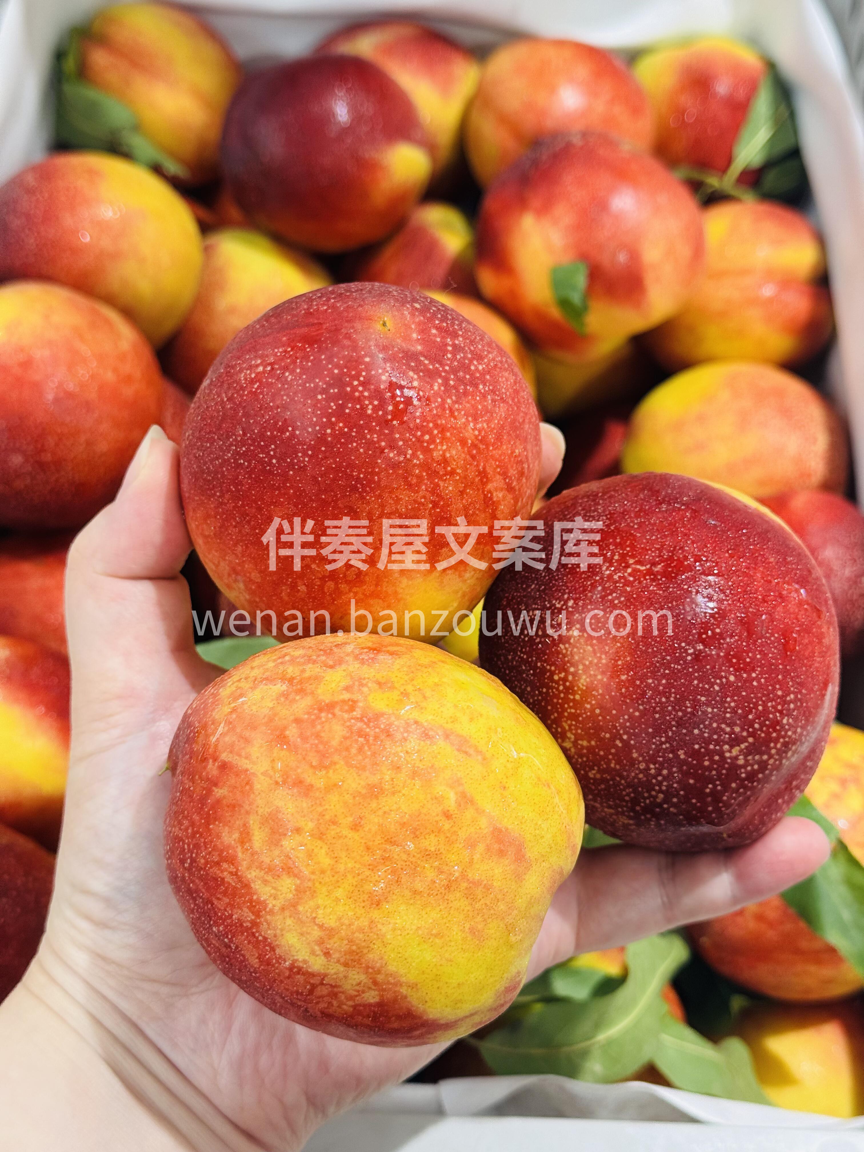 🍑油桃不仅具有高颜值外表，还“内外兼修” 配图2