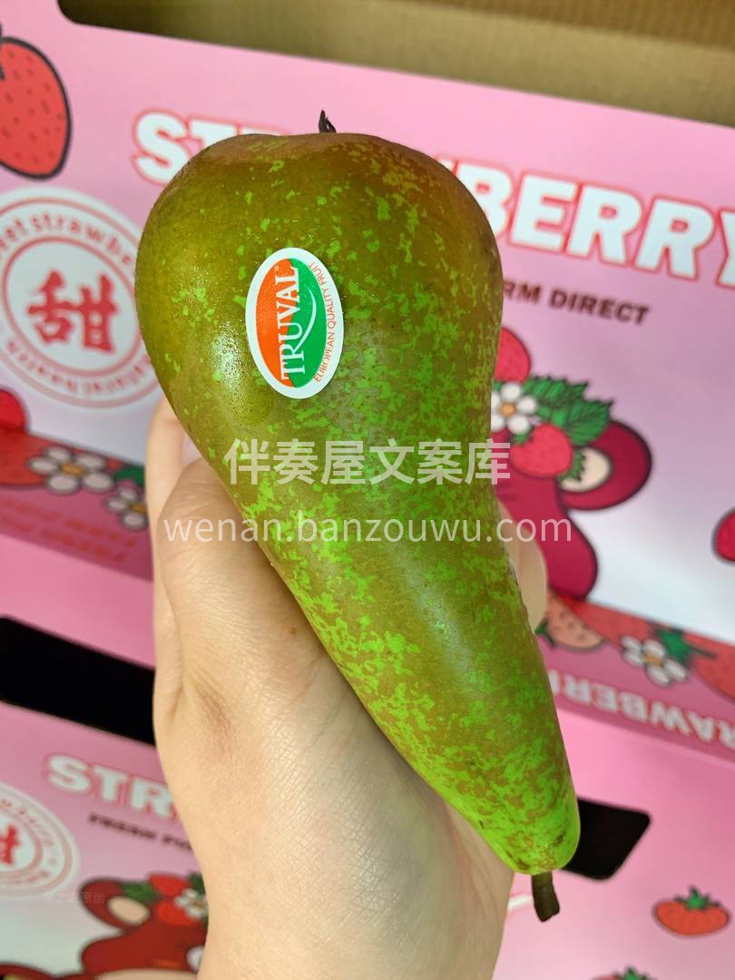 比利时又添“形象代言人”😎😎——比利时啤 配图1