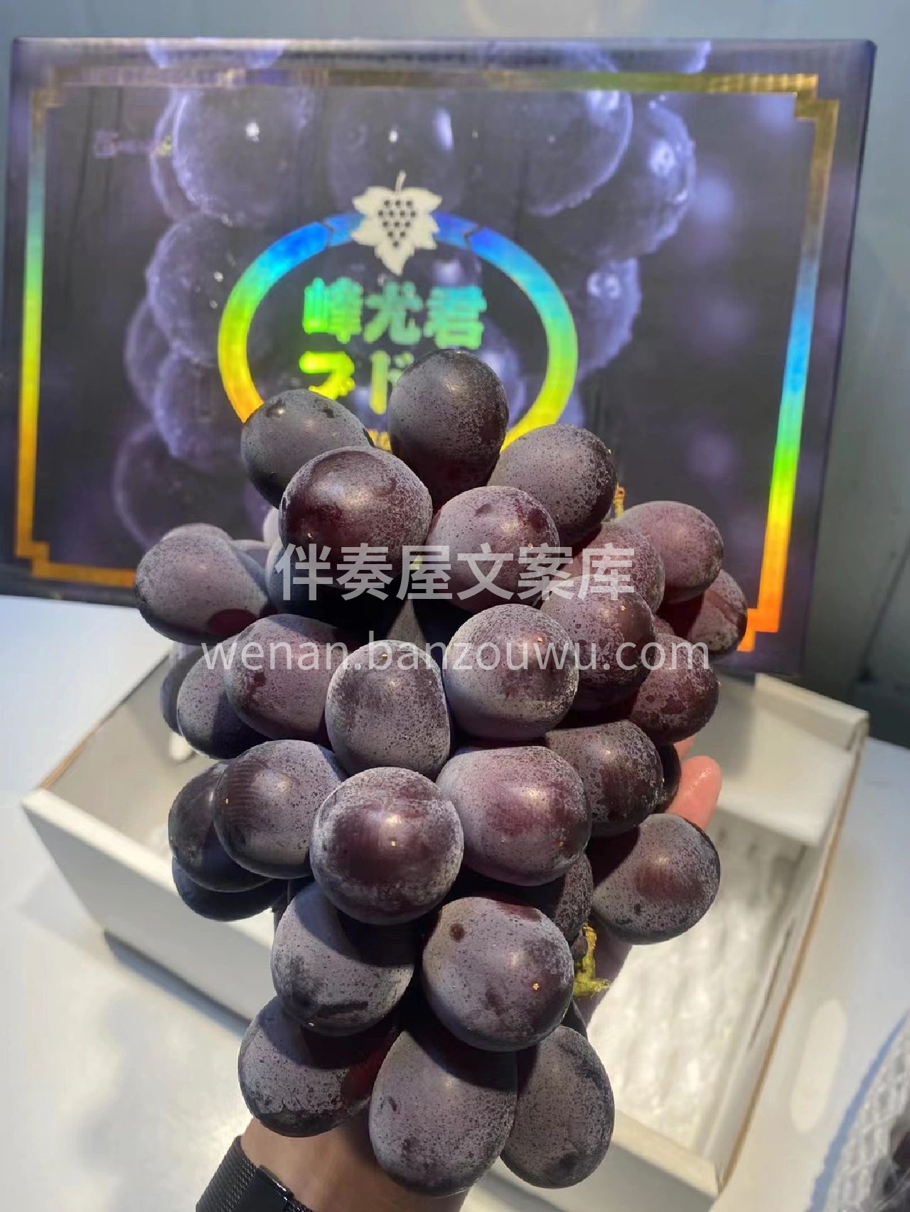 冬天想吃葡萄🍇，那么首选“辽峰”，果肉厚 配图3