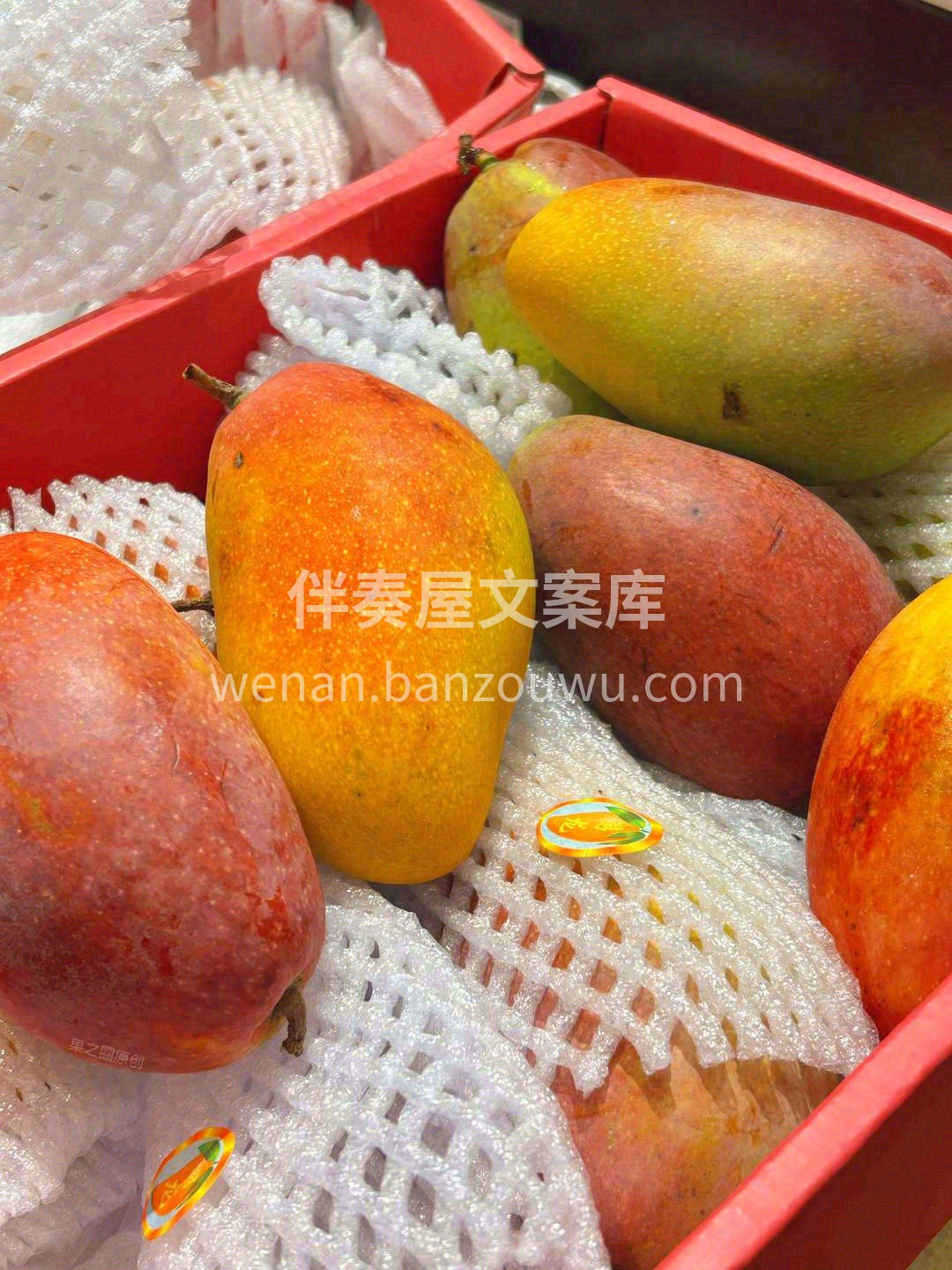 贵妃芒🥭 好吃又好看的芒果💌 味和颜🥰的 配图3