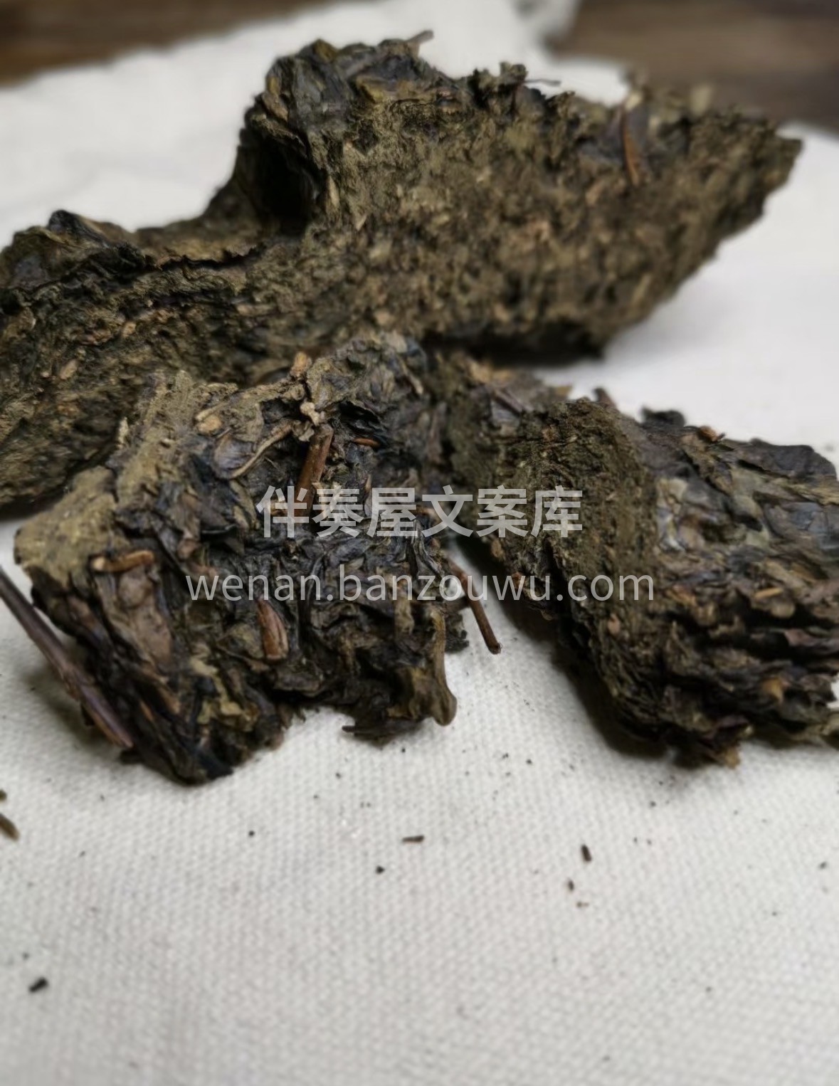 🍵 白沙溪天尖｜古时皇家贡茶，今日茶中贵 配图2