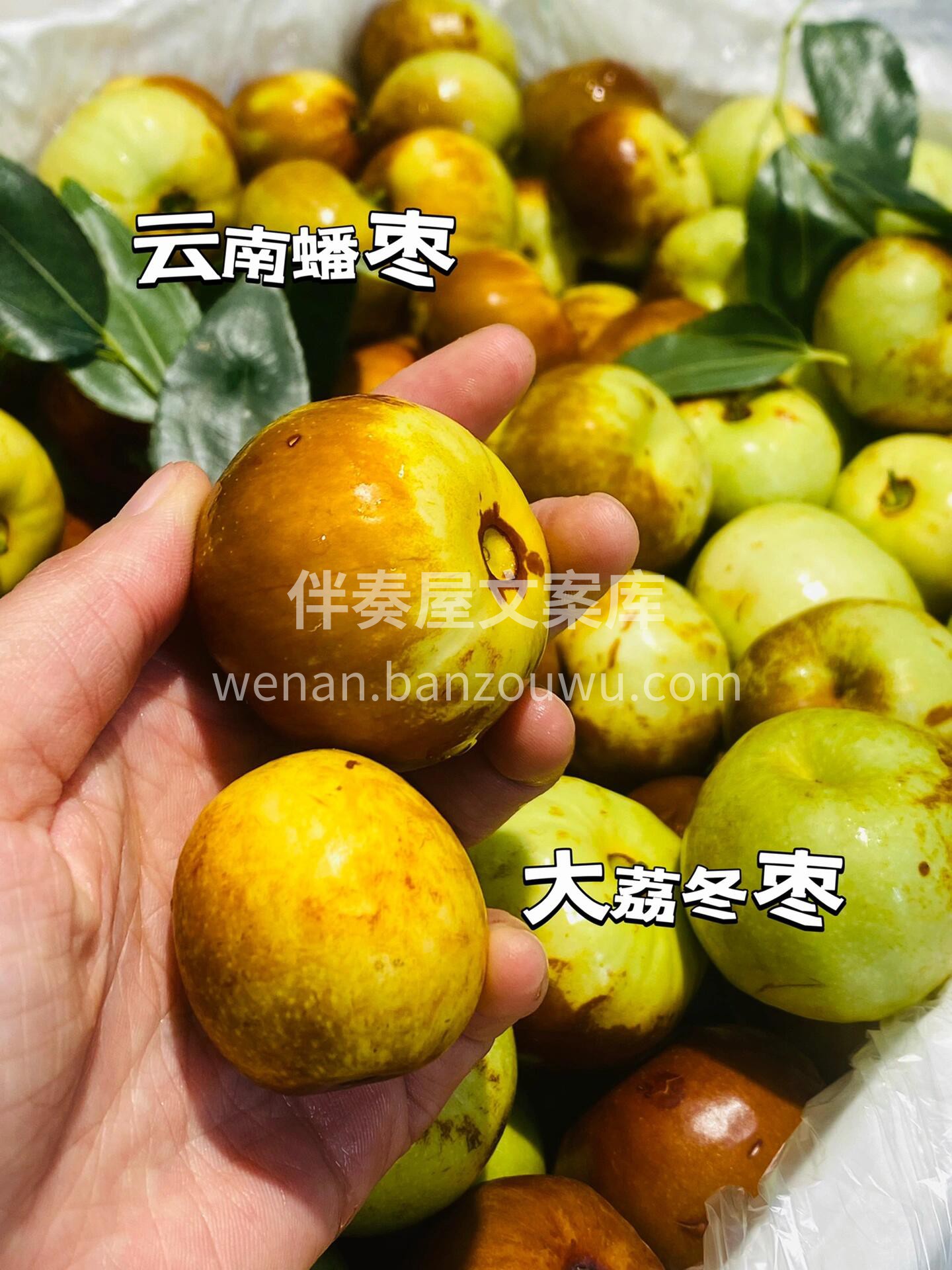 蟠枣🌴🌞一口咬下去，满嘴都是甜蜜的味道。 配图3