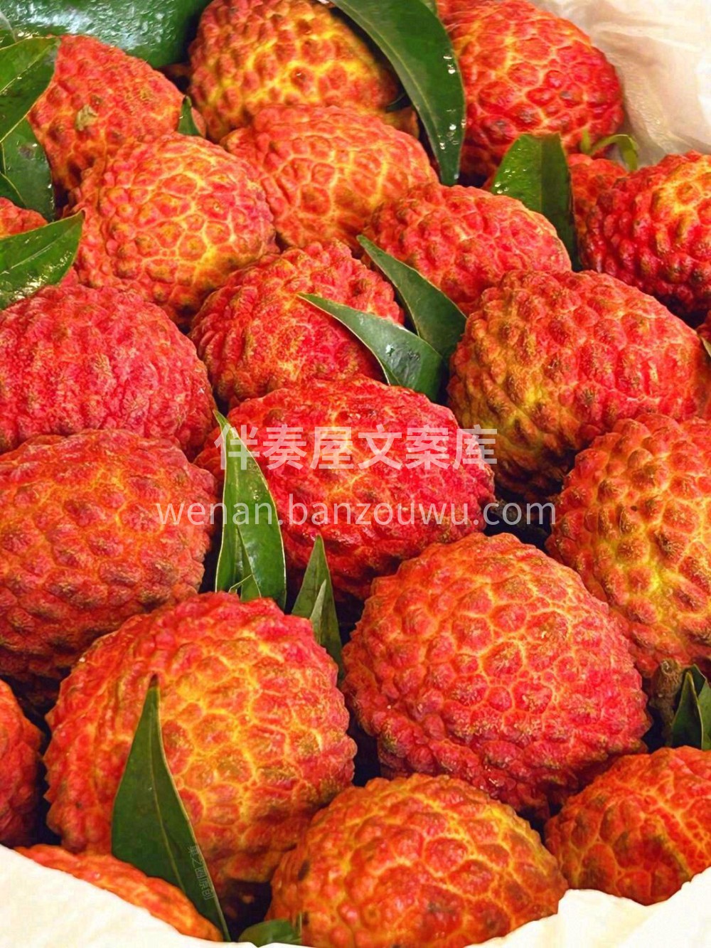 👑杨贵妃受宠吃的是妃子笑，给你的TA安排 配图3