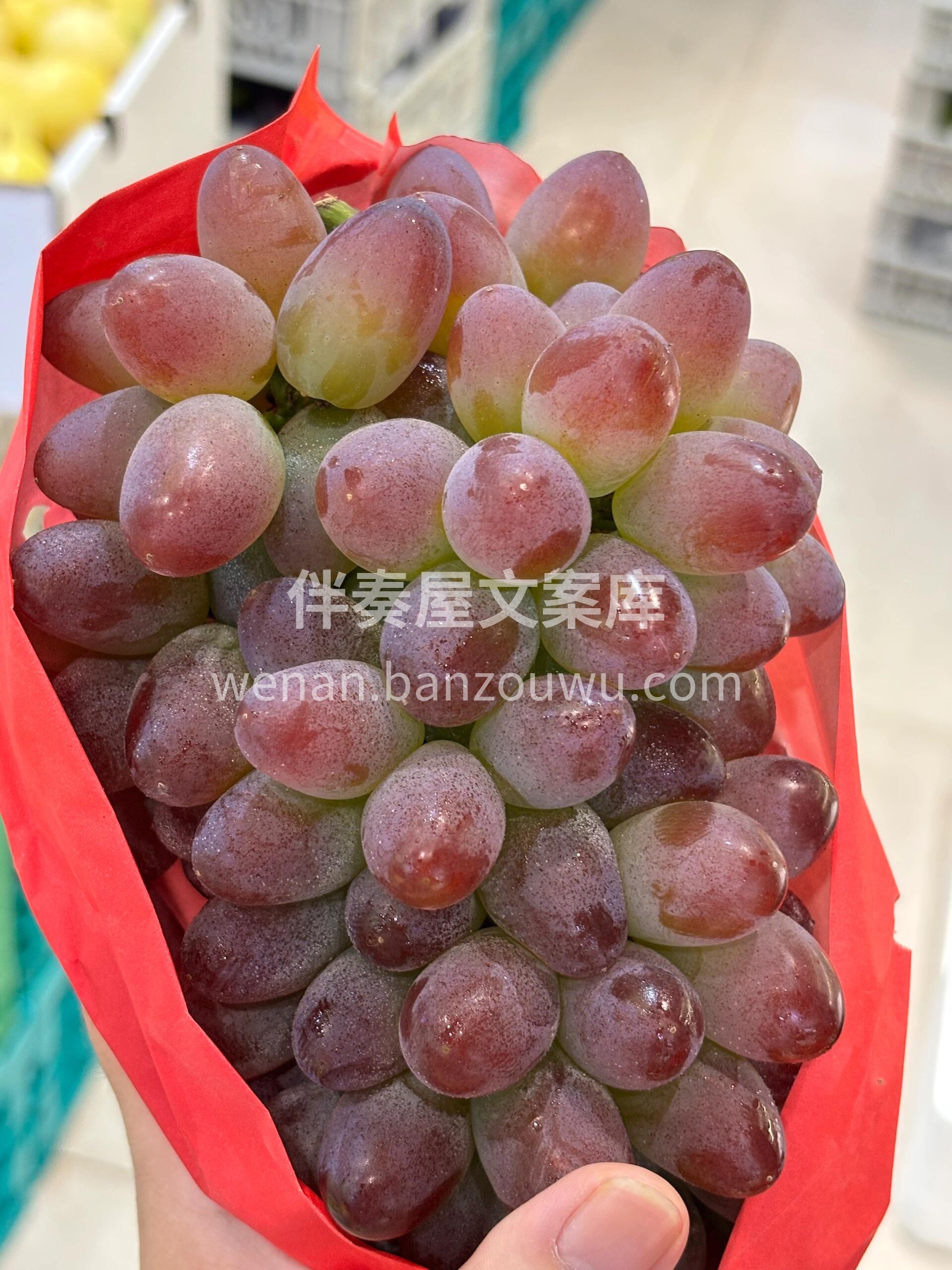 🍇 茉莉香葡萄！🍇 翠绿透亮像翡翠～颜值 配图3