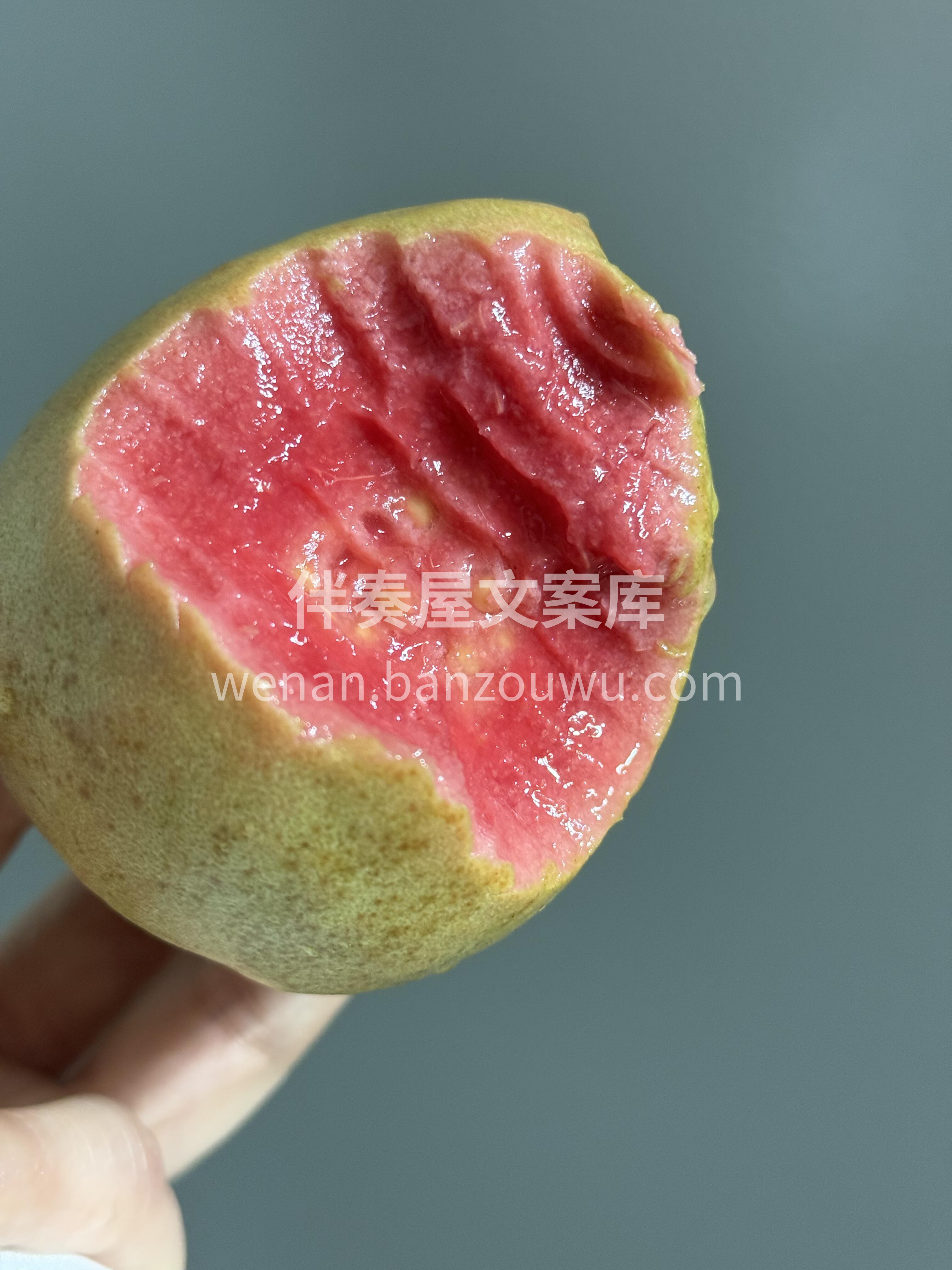 红心芭乐含糖量较低👇 其皮及果实富含维生 配图3