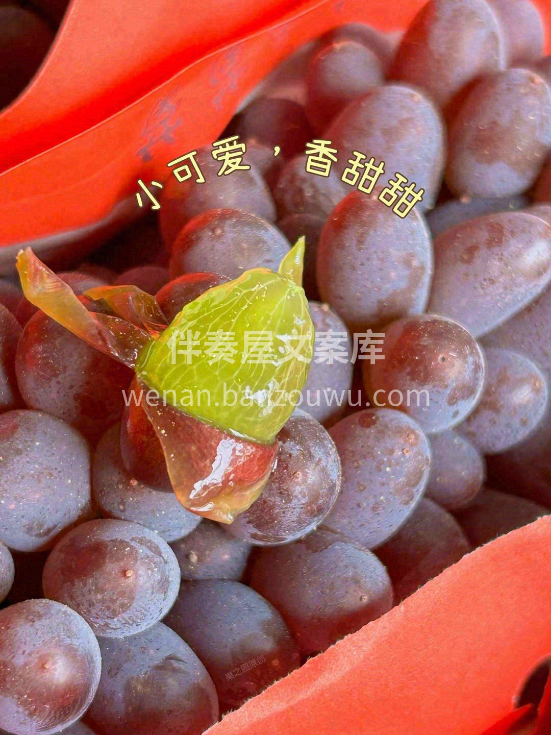一颗入口💋，果肉释放无尽的果香🌈，还有那 配图1