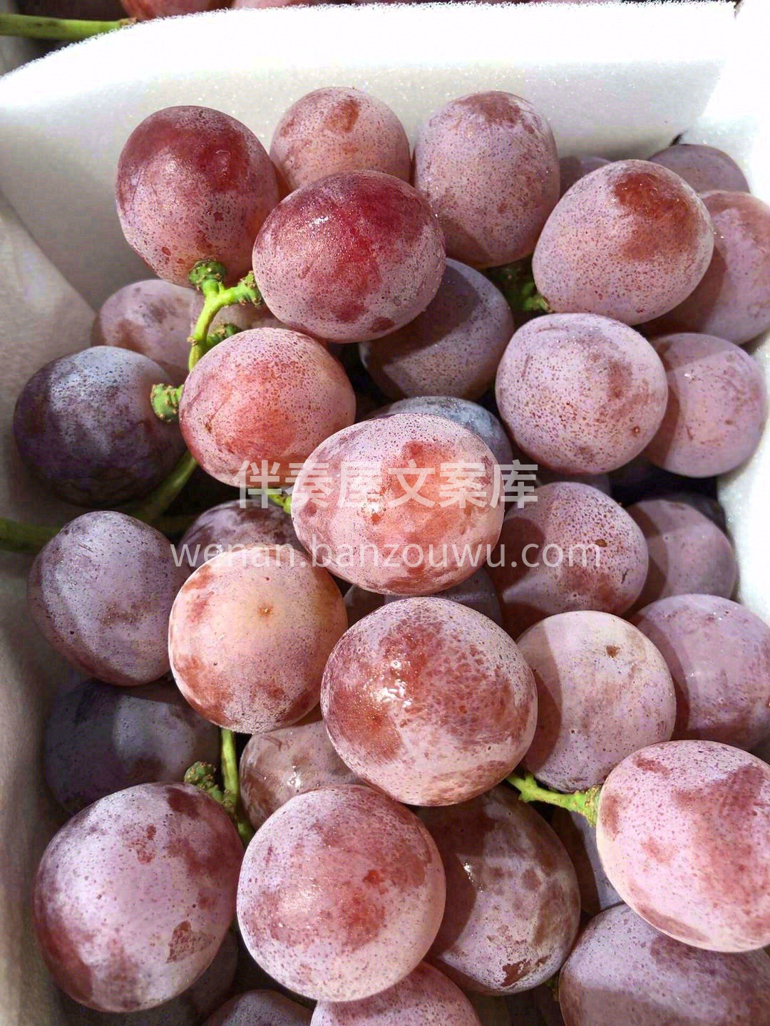 颗粒饱满，每一颗都透着新鲜气儿🌸 硬度非 配图3