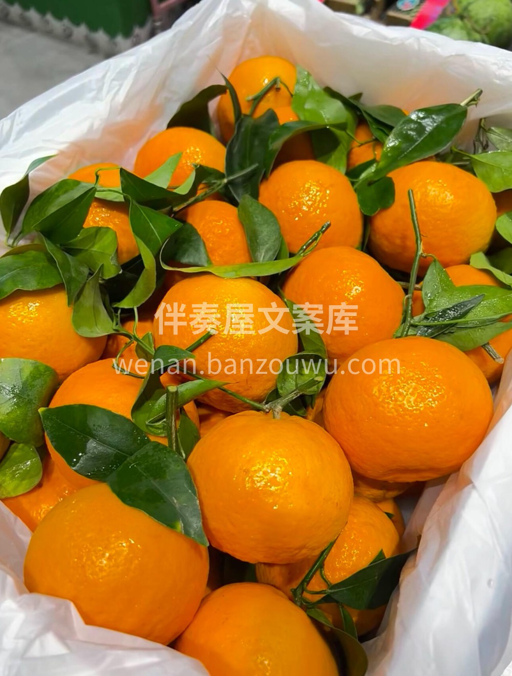 🍊🍊🍊明日见‼️柑橘中的爱马仕💎皮薄，果 配图3