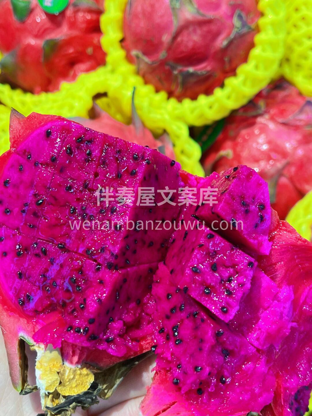 到新‼️【越南红心♥️火龙果】 拔下所有 配图2