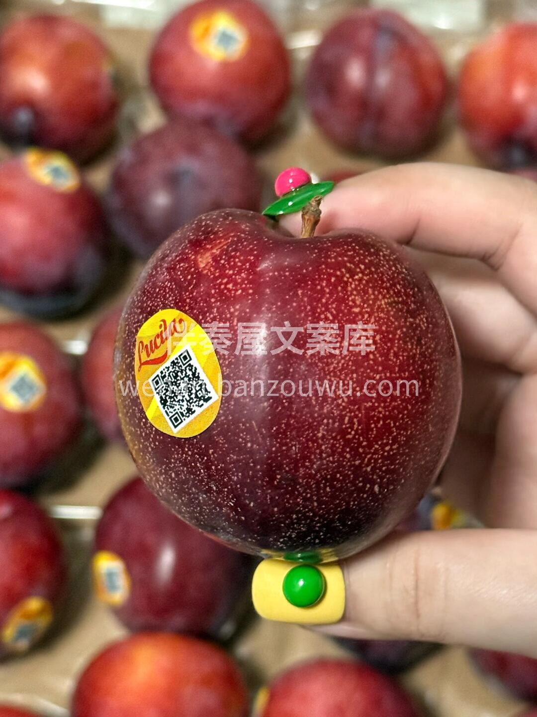 图力奇红喜悦李 个大精致，红彤彤的晶莹剔 配图1
