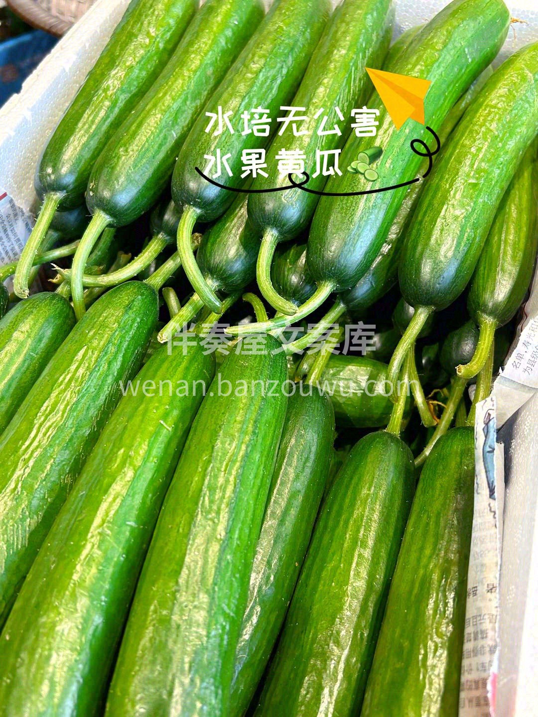 🥒表皮光滑小刺少，体型饱满肉更多， 从中 配图3