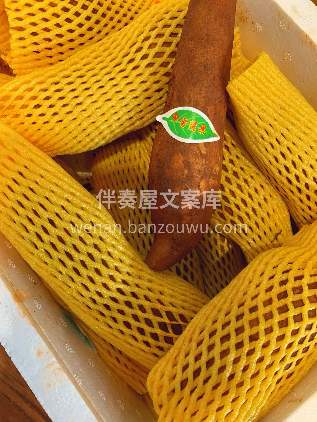 🍠雪莲果----唯一的地下水果，💥脆甜！ 配图1