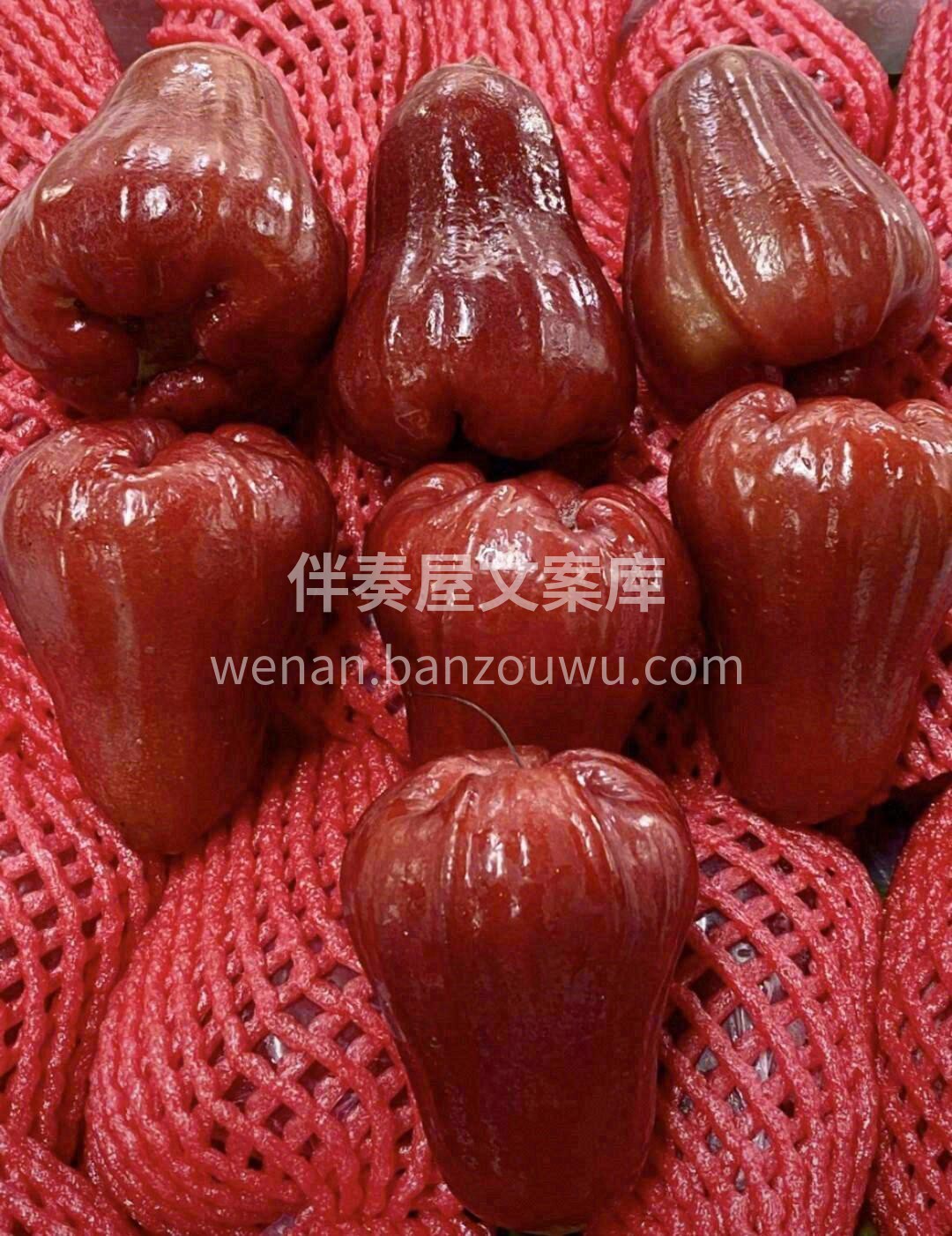 黑金刚莲雾♥️ 真正意义上的“水”果 脆 配图2