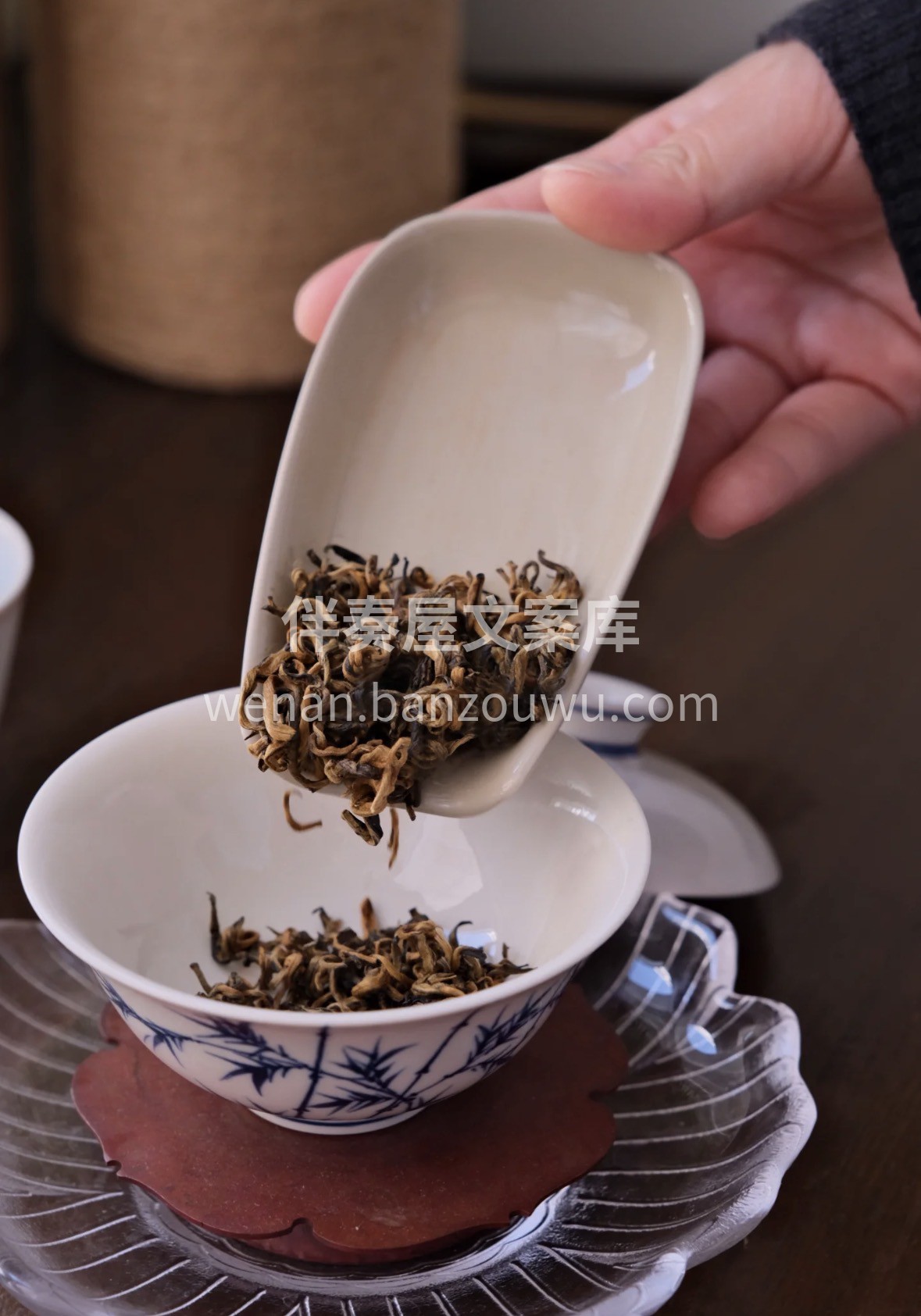 2026元旦礼赠✨｜滇红金芽🍵 凤庆高山 配图1