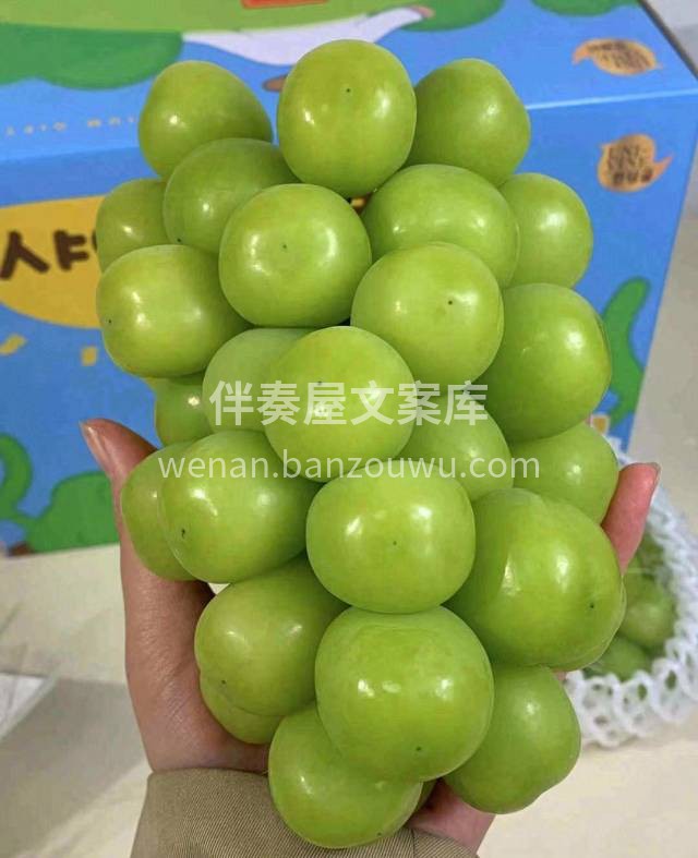 🎊追求大颗和整串甜度的宝子，推荐这款晴王 配图2