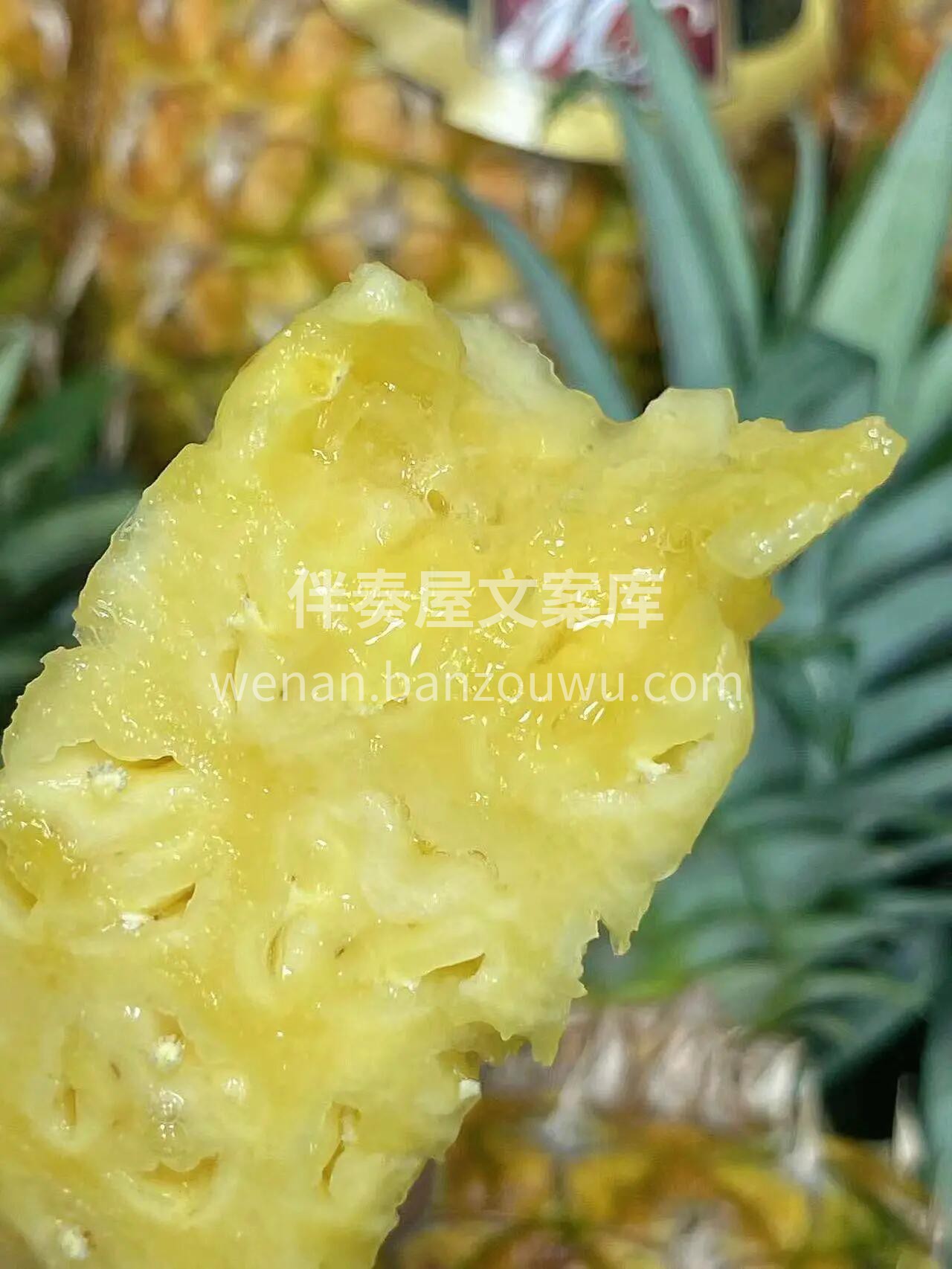 ✨【每日水果打卡💪】 坚持吃水果～身体会 配图2
