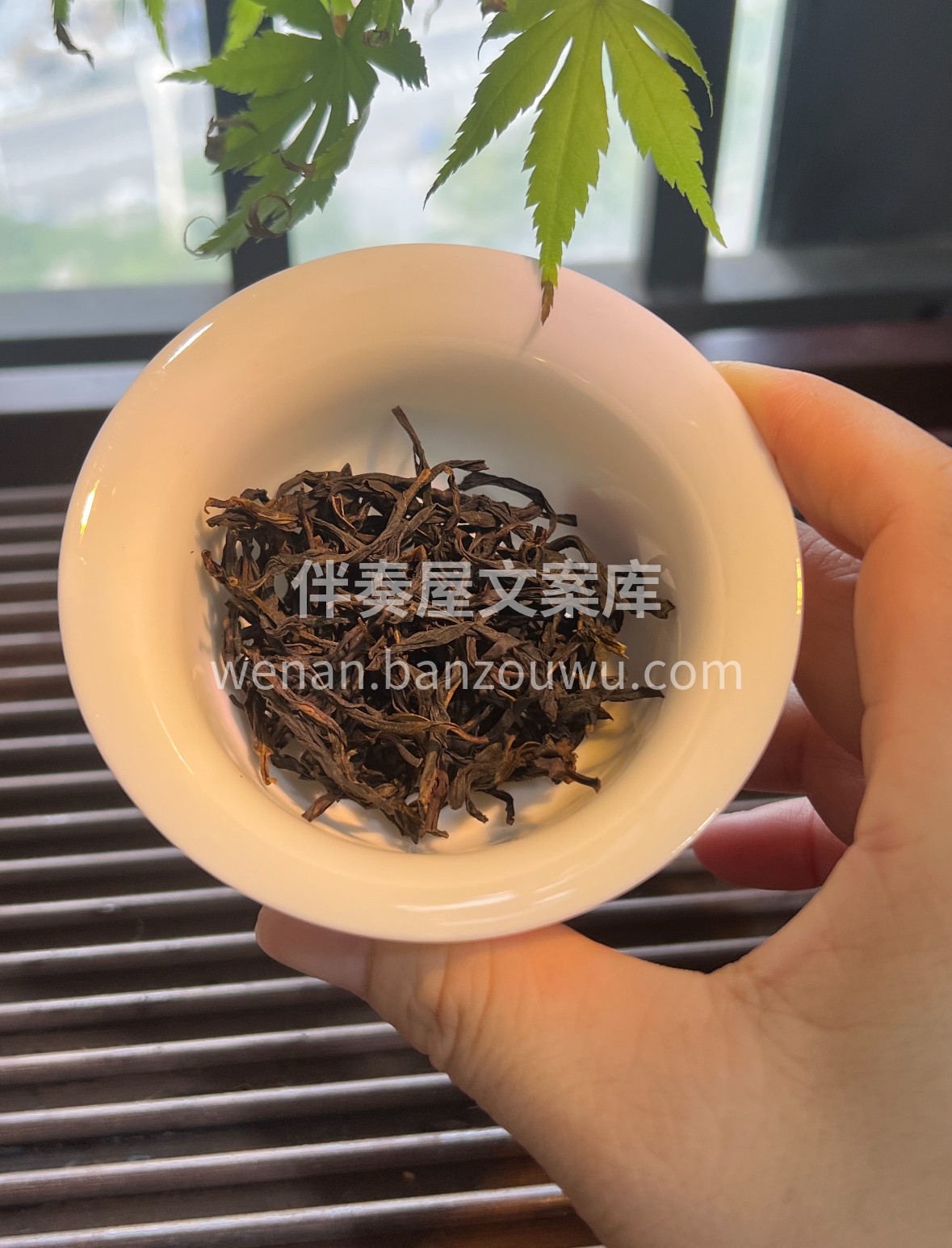 山岚浸润的凤凰单枞，蜜韵裹挟兰香漫溢舌尖 配图1
