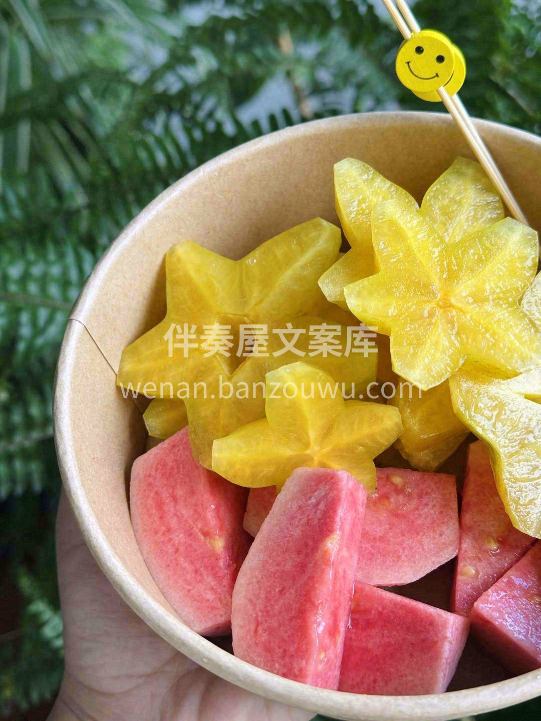 阳光明媚的慵懒午后🥰 ，吹着微风的温暖时 配图3