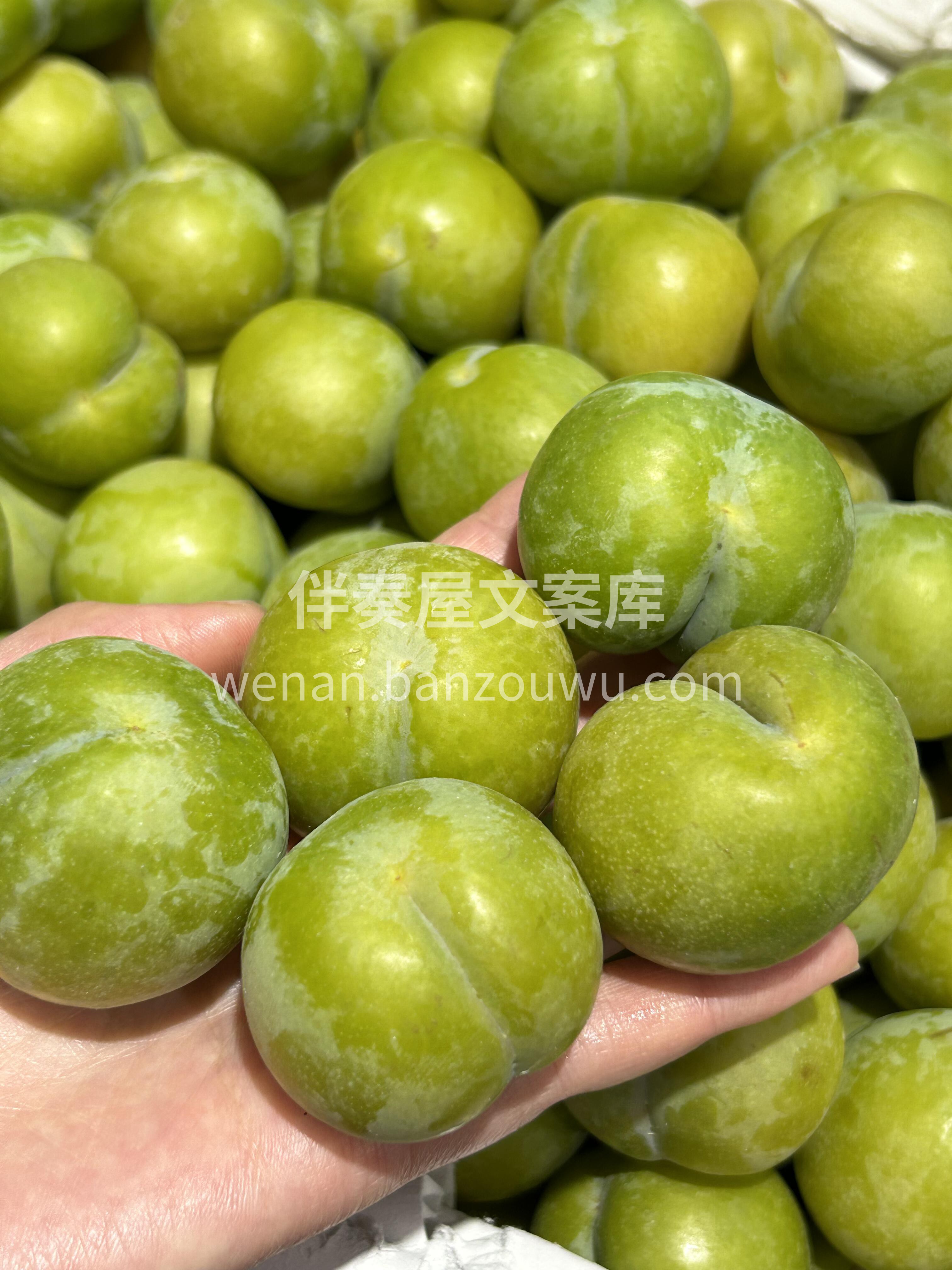 蜂糖李～火爆开炸🔥🔥🔥 这个夏天最热款， 配图2