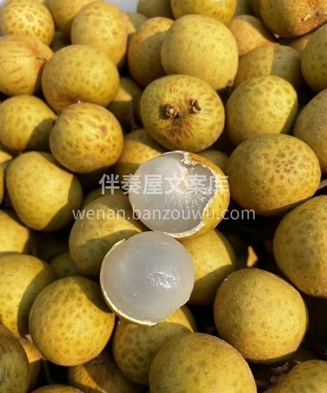 漂亮的龙眼千篇一律，好吃的龙眼万里挑一😋 配图1