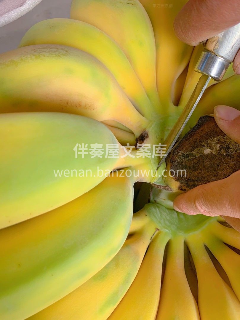 😎不用洗、不用切、一扒皮就能吃的香蕉🍌  配图1