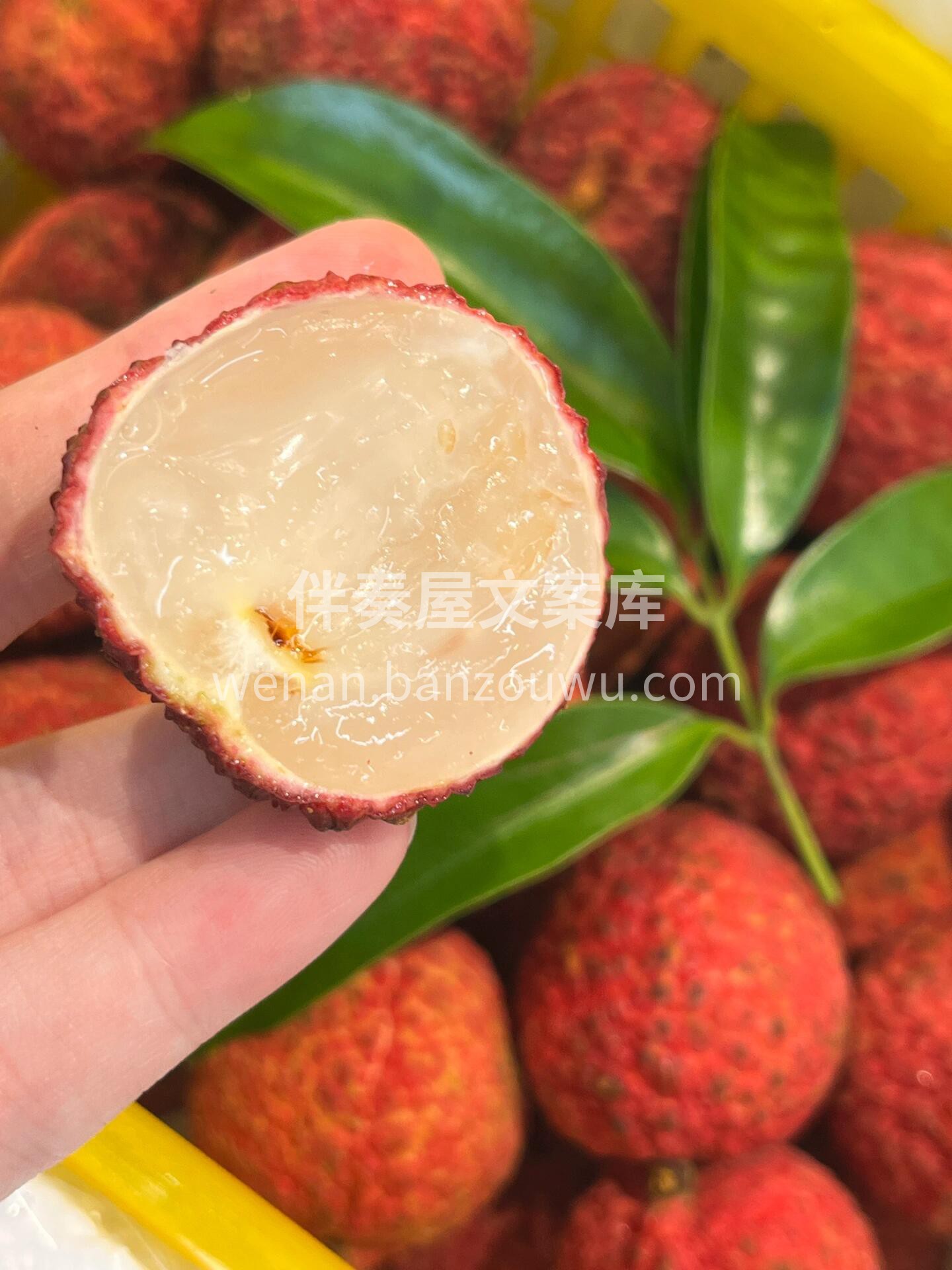 无核荔枝🌿🌿 👉不仅没有核，个头还很大， 配图3