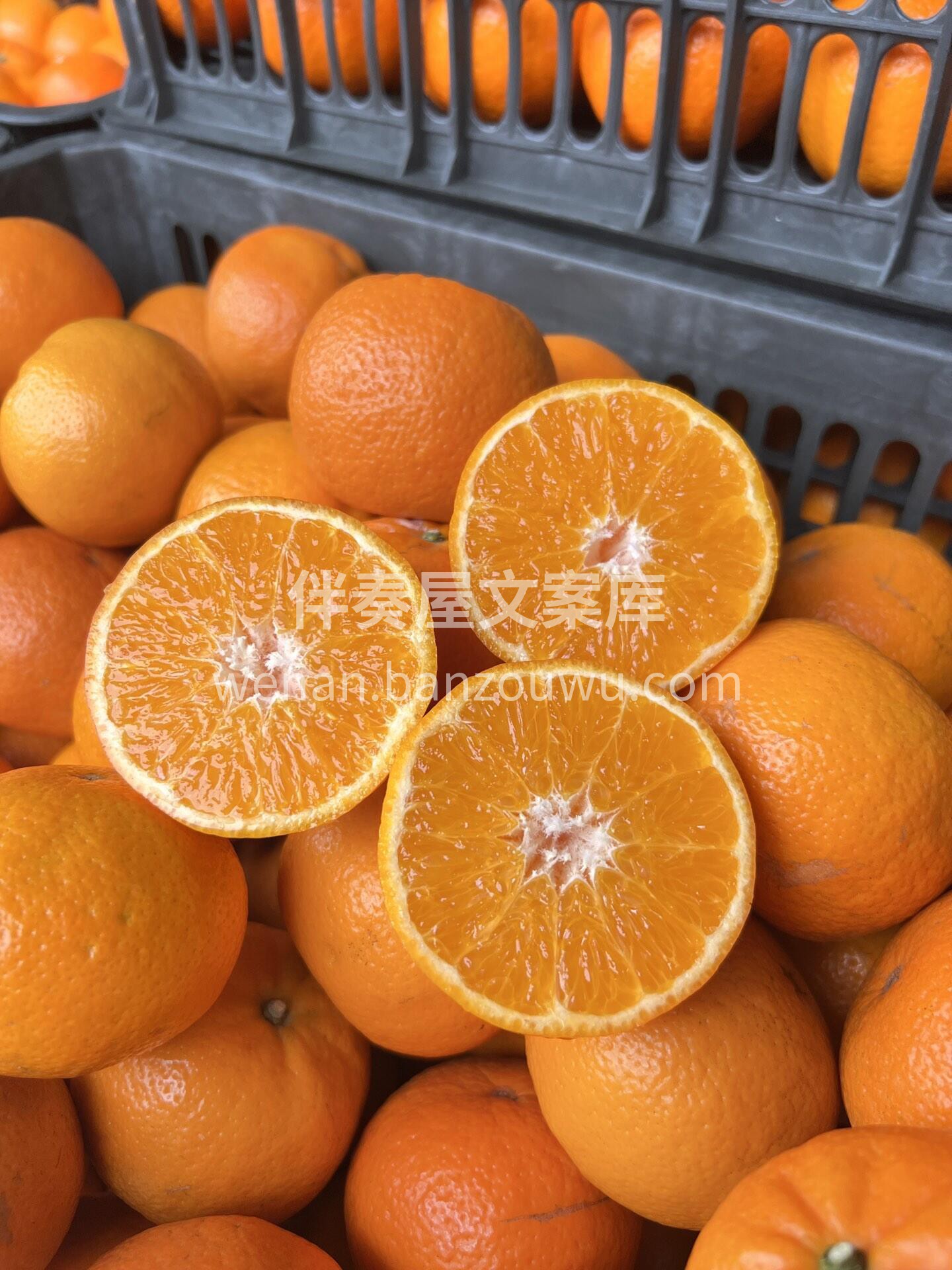 🍊 沃柑到货啦！🍊 果皮橙红好剥👌一撕就 配图1