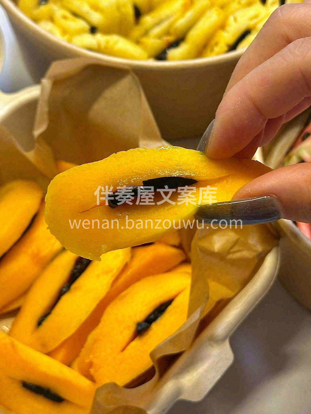没有一个季节的风🌿，比春风更让人间温柔🌈 配图2