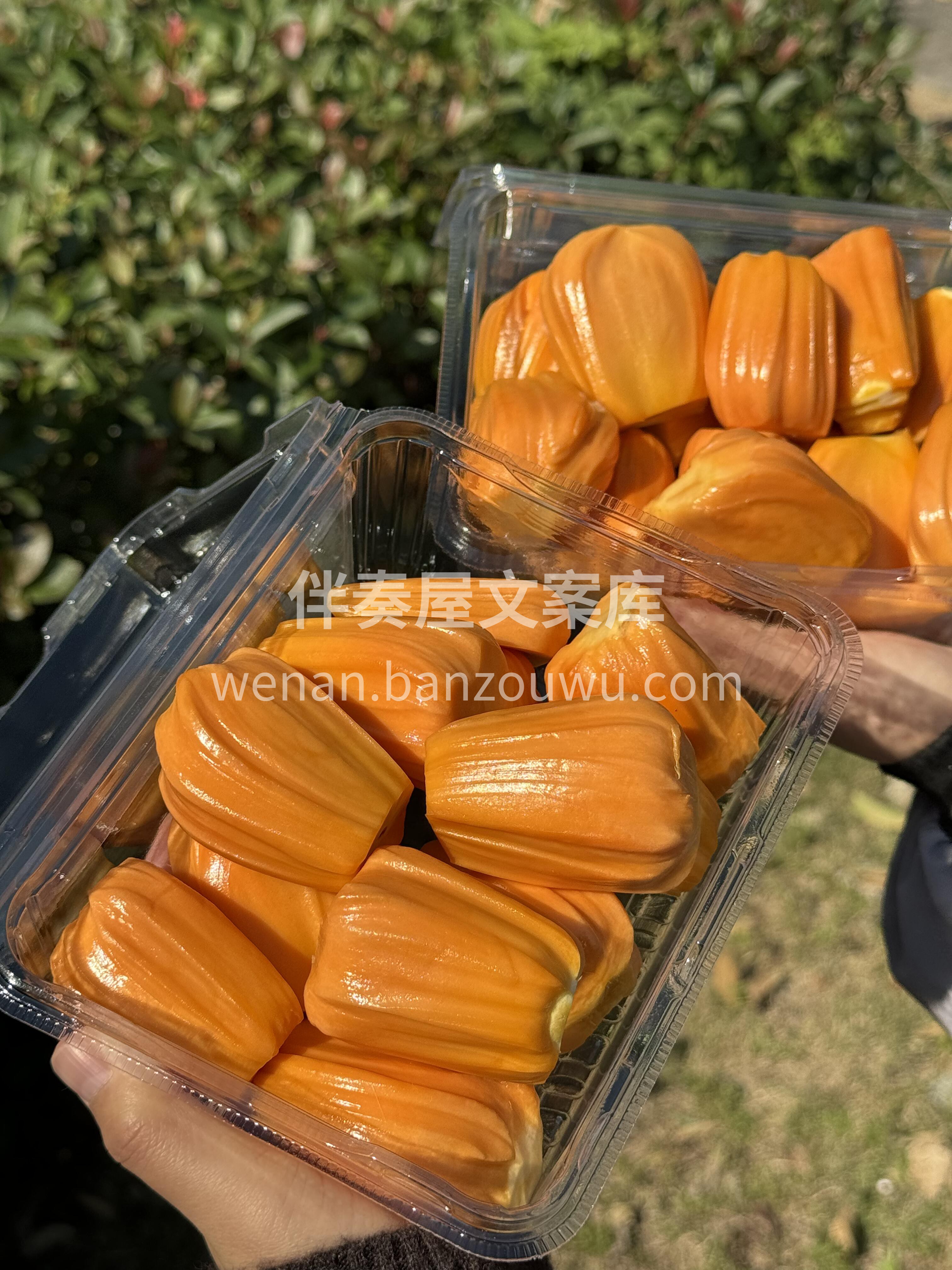 特级红肉菠萝蜜新鲜开剥咯😍！ 香甜~香甜 配图3