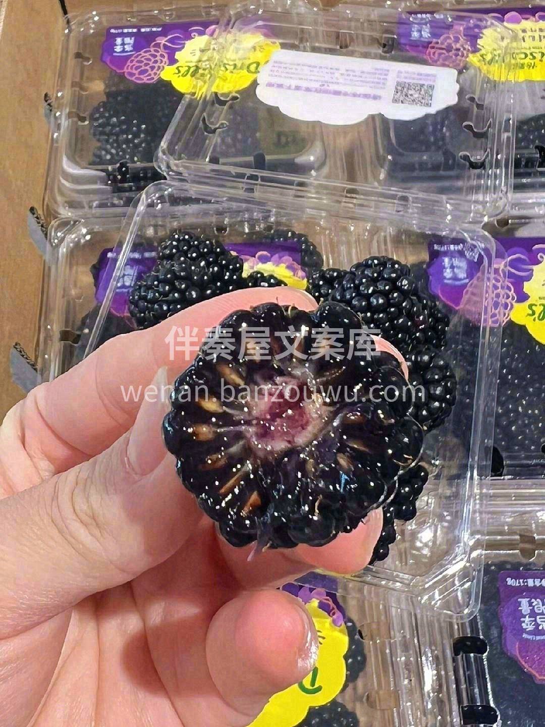 🍓诱人的黑树莓登场啦👏 甜润裹着微酸，颗 配图1