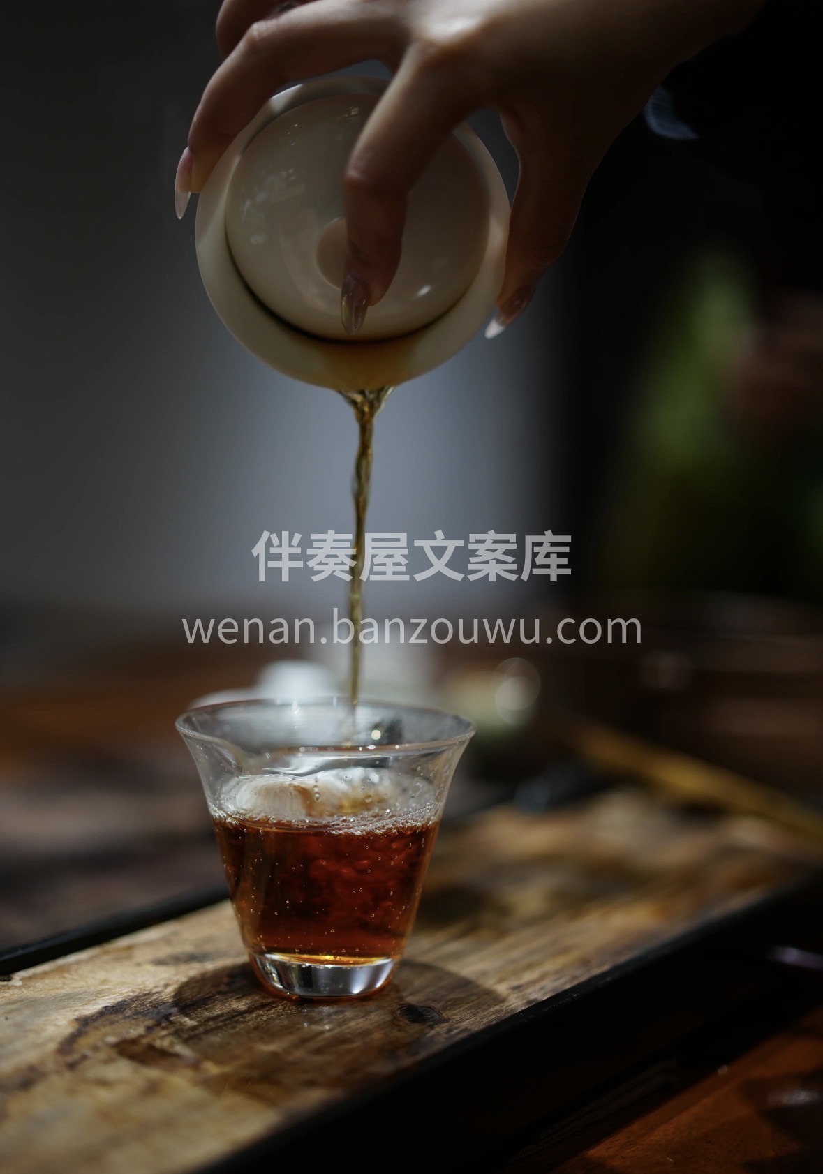新年备年货，好茶礼佳友🍵武夷水仙携岩骨花 配图2