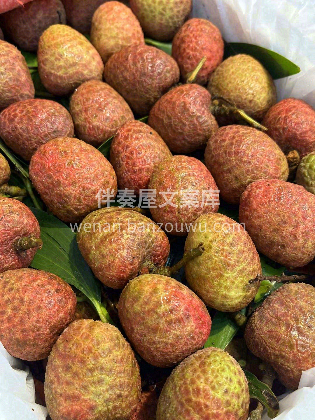 桂花香荔枝🌸丨颗颗爆汁🌊，惊喜水炸弹 # 配图2