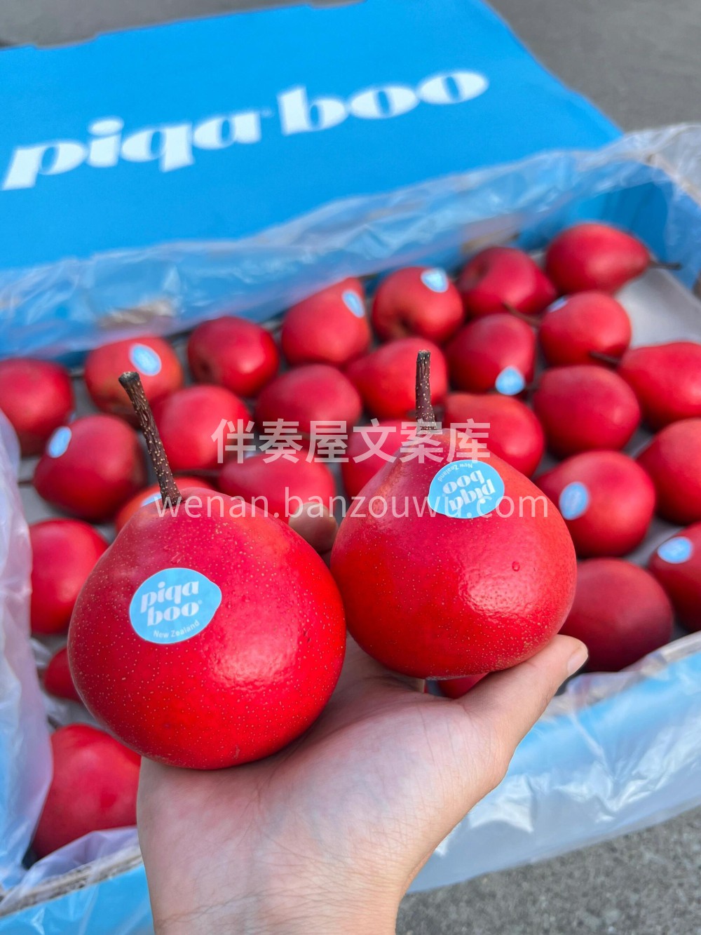 新西兰🇳🇿Piqa® Boo®红梨🍐红艳 配图2