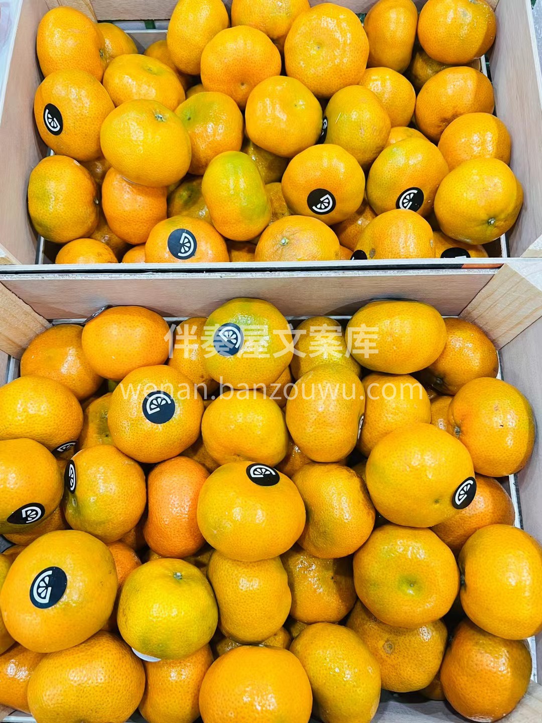 新品推荐❤️ 【秘鲁橘🍊】甜蜜来袭💥💥💥 配图3