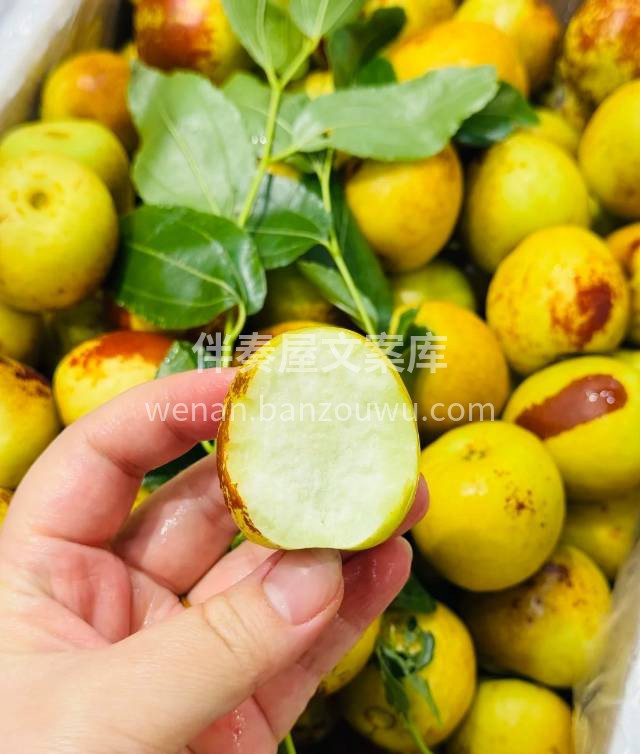 甜透心的冬枣🌸！颗颗大个头🍭，脆甜爽口一 配图1