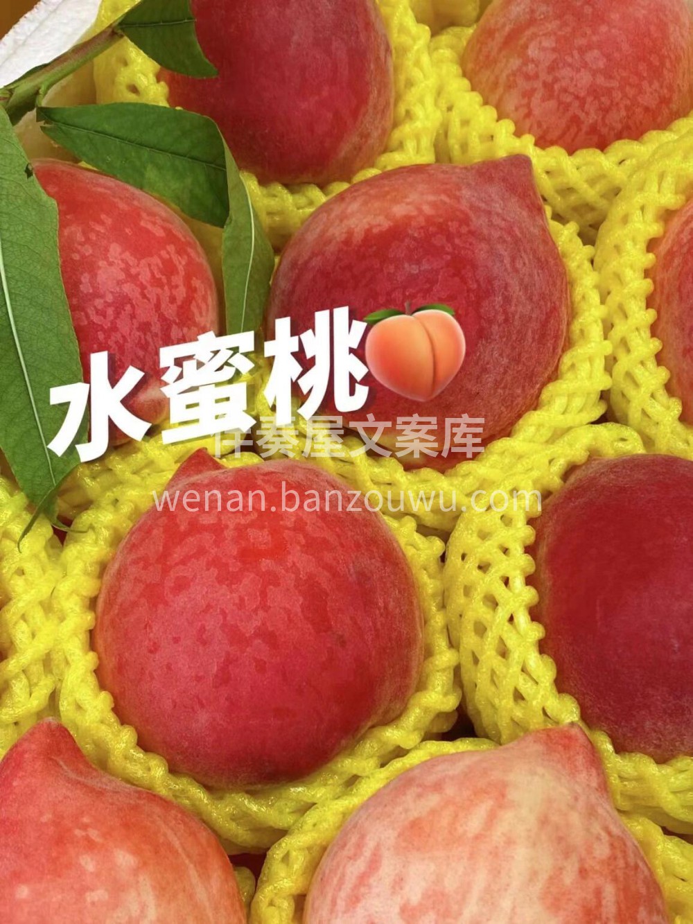 特别好吃的桃子?脆甜?人间美味水蜜桃甜蜜 配图1